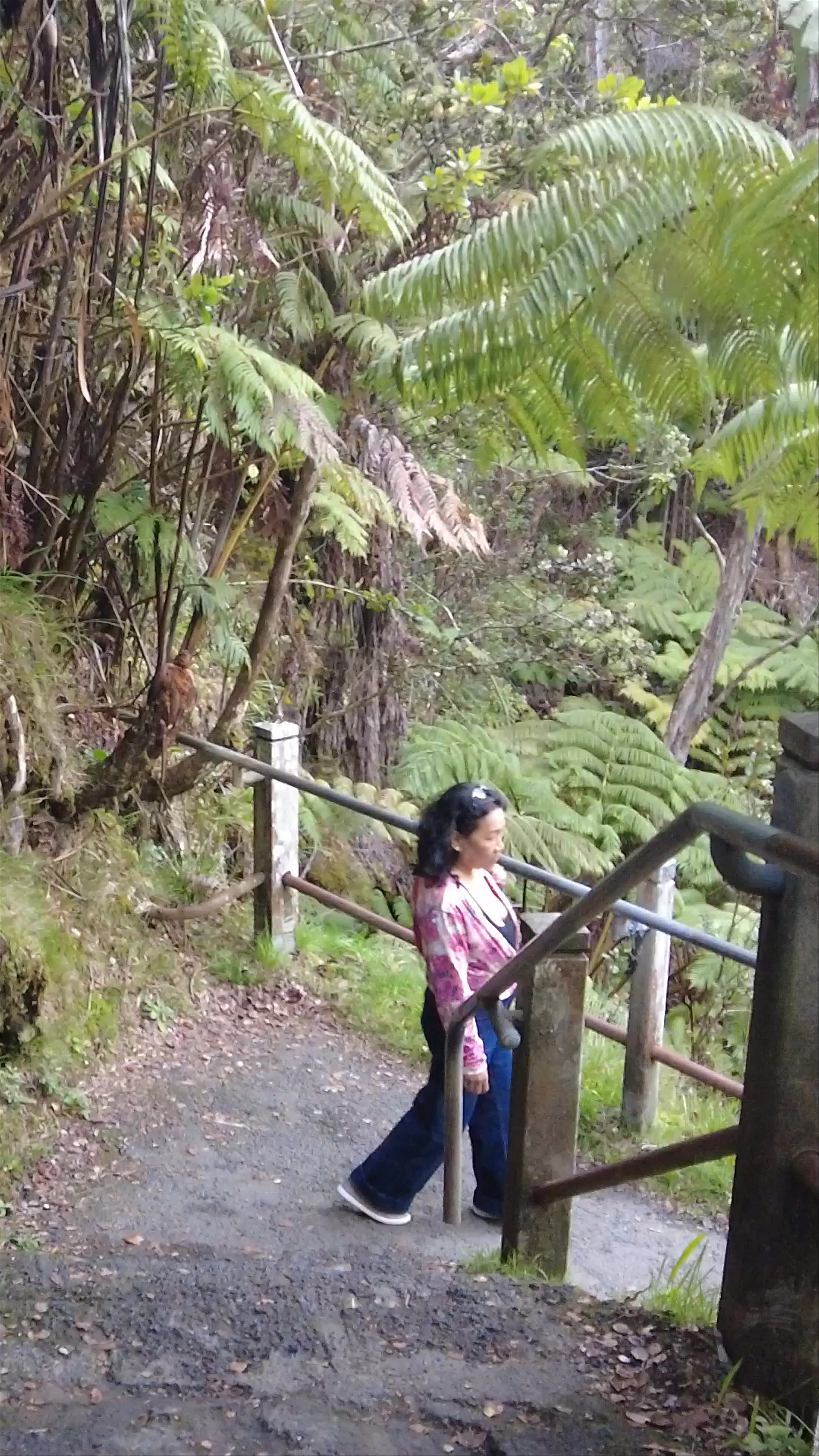 Tunnel de lave Thurston