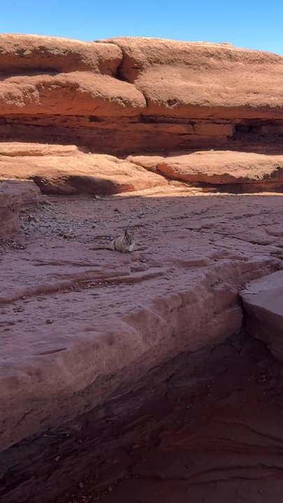 Dead Horse Point State Park - Parks Near Me