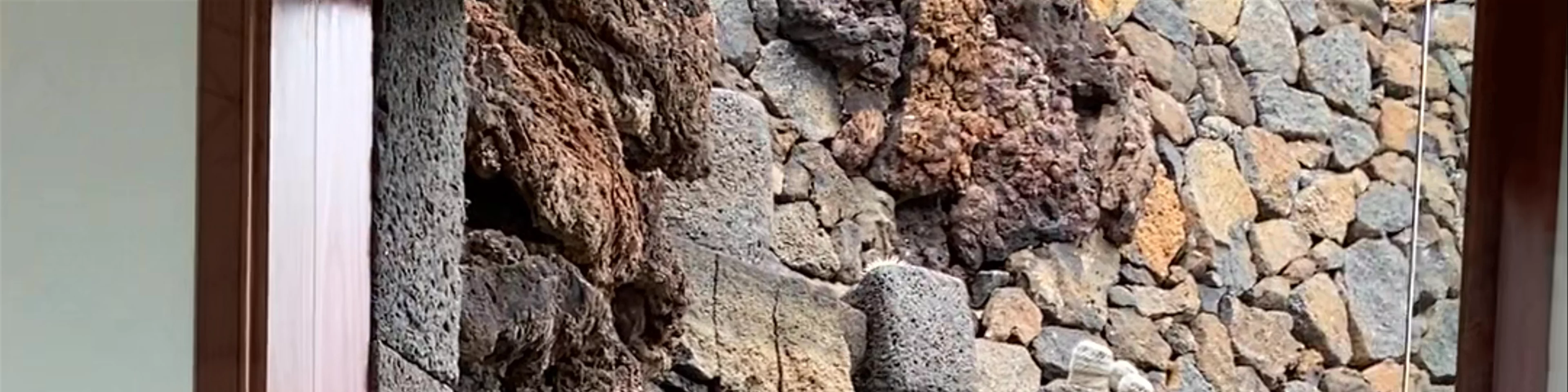 Jardín de Cactus | CACT Lanzarote
