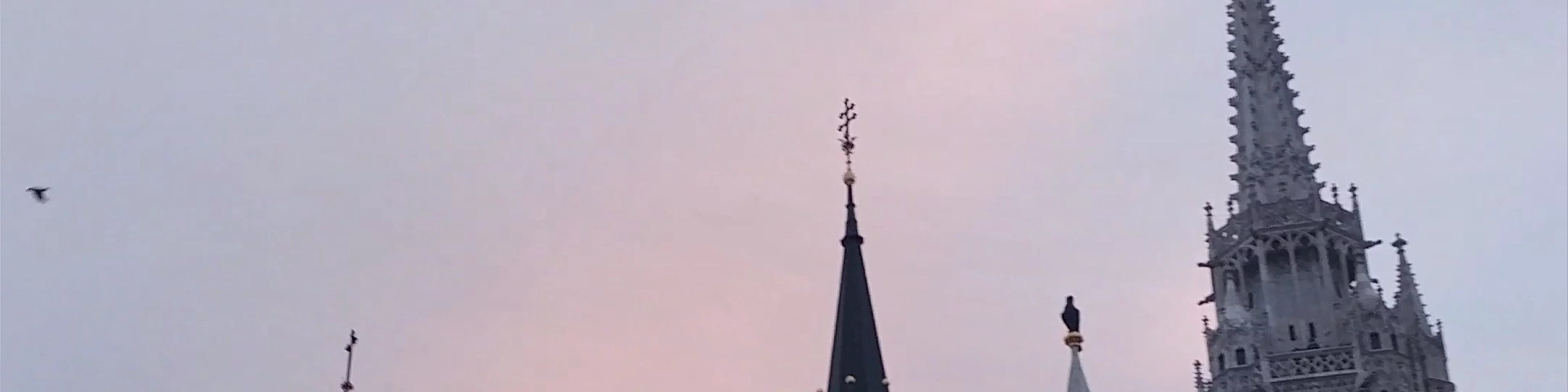 The Church of Our Lady of Buda Castle
