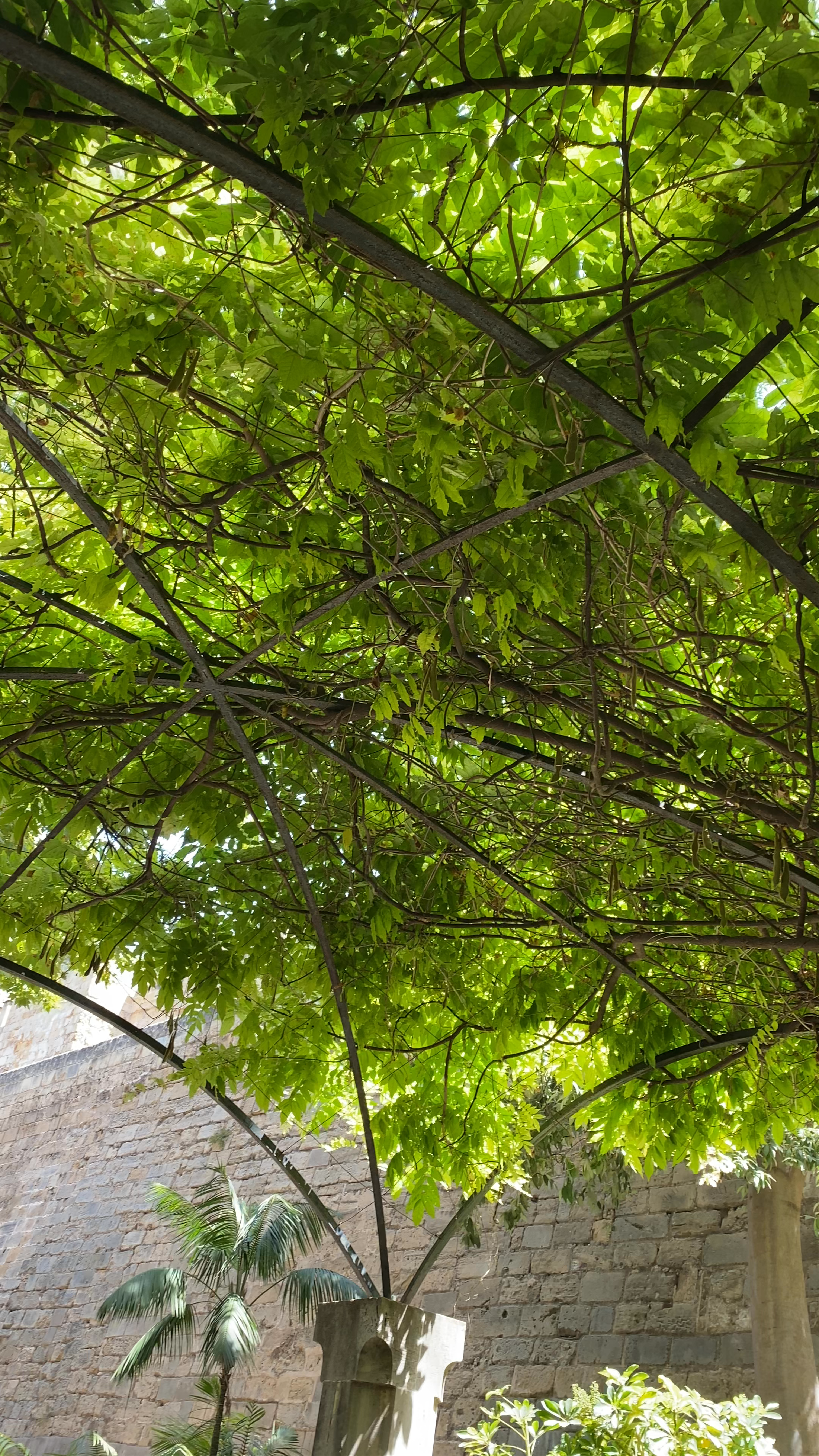 S'Hort del Rei: A Green Oasis in the Heart of Palma