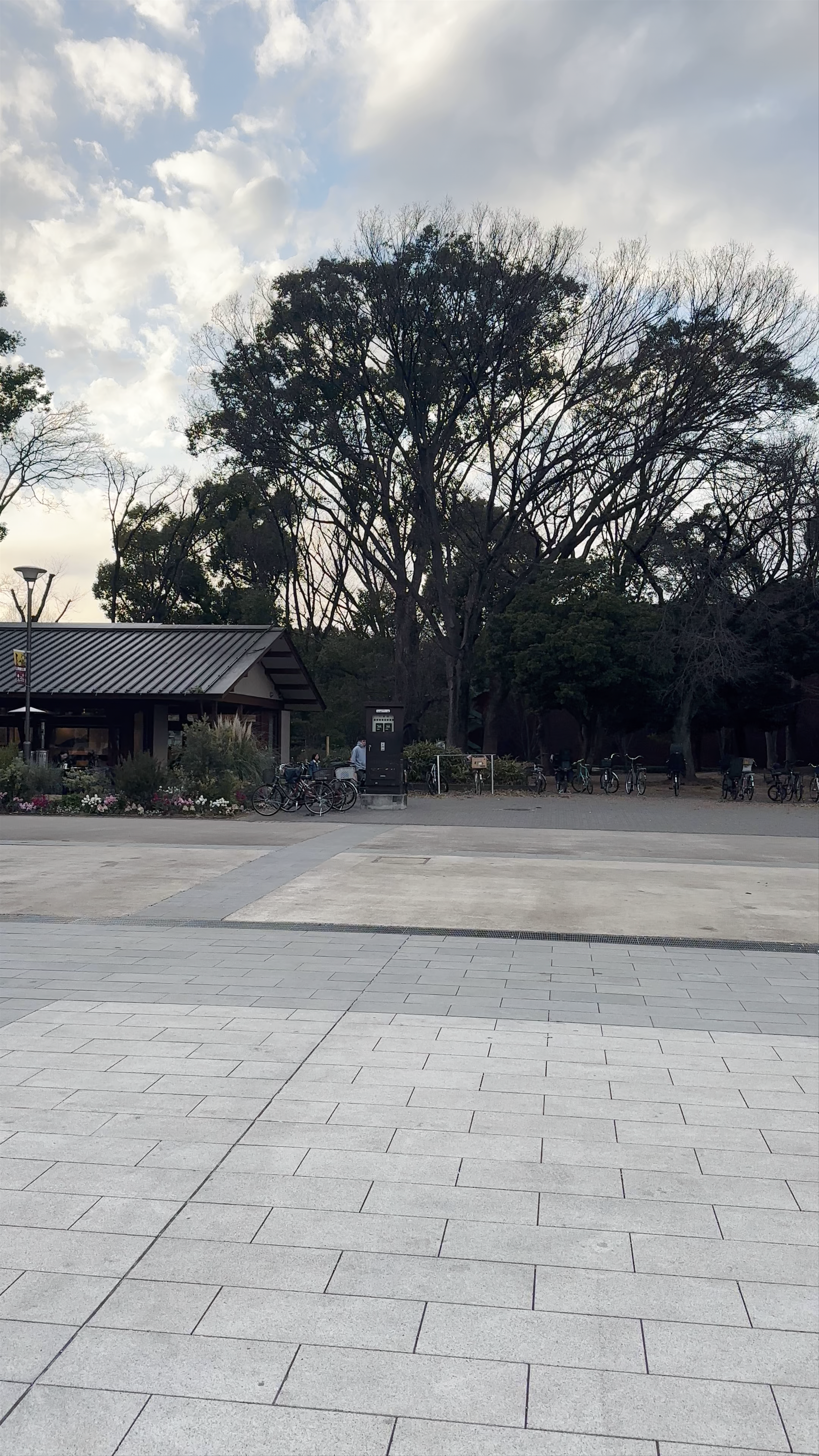 Ueno Park