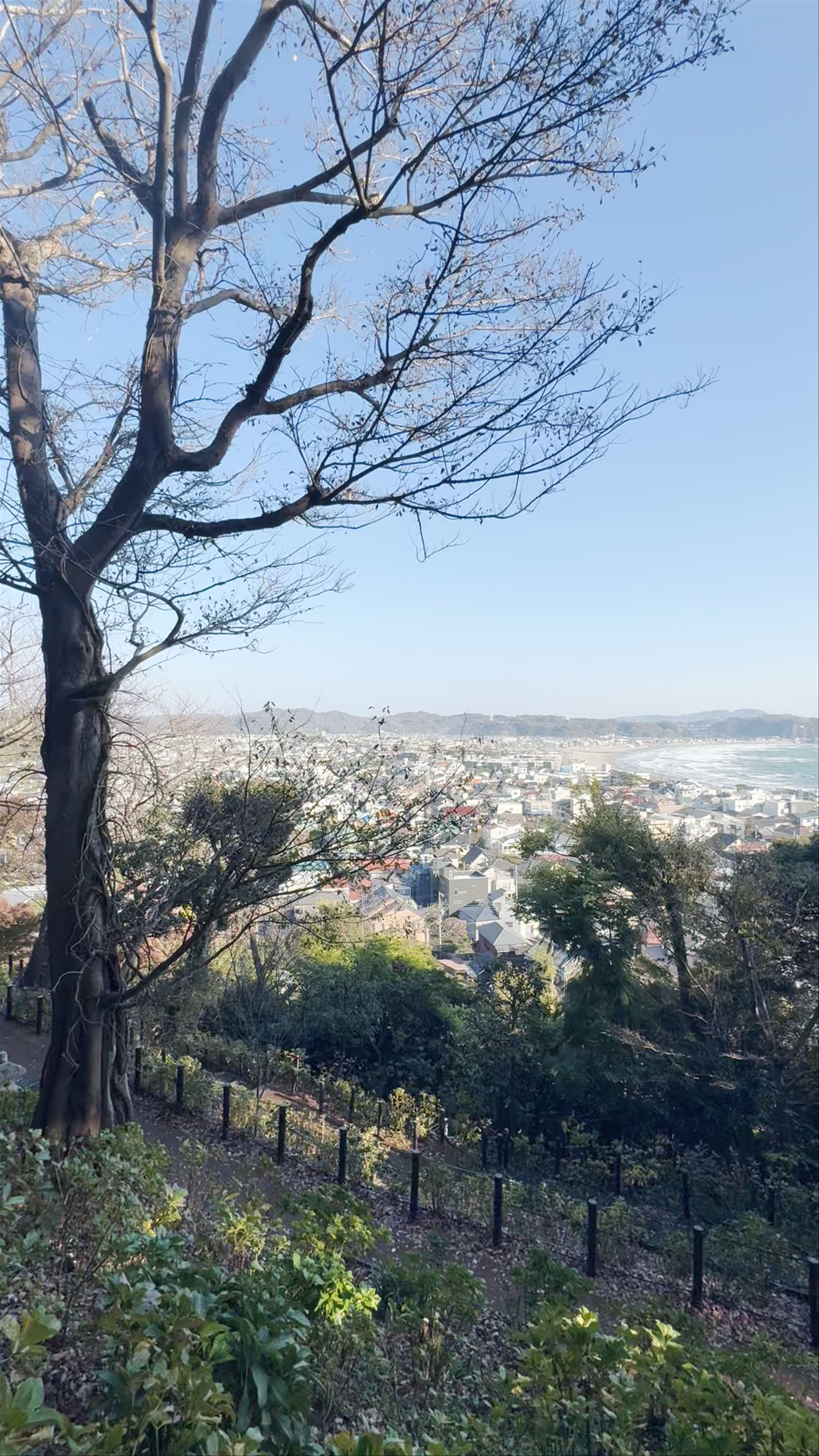 Winter Views from Templo Kotoku-in in Kamakura, Kanagawa, Japan