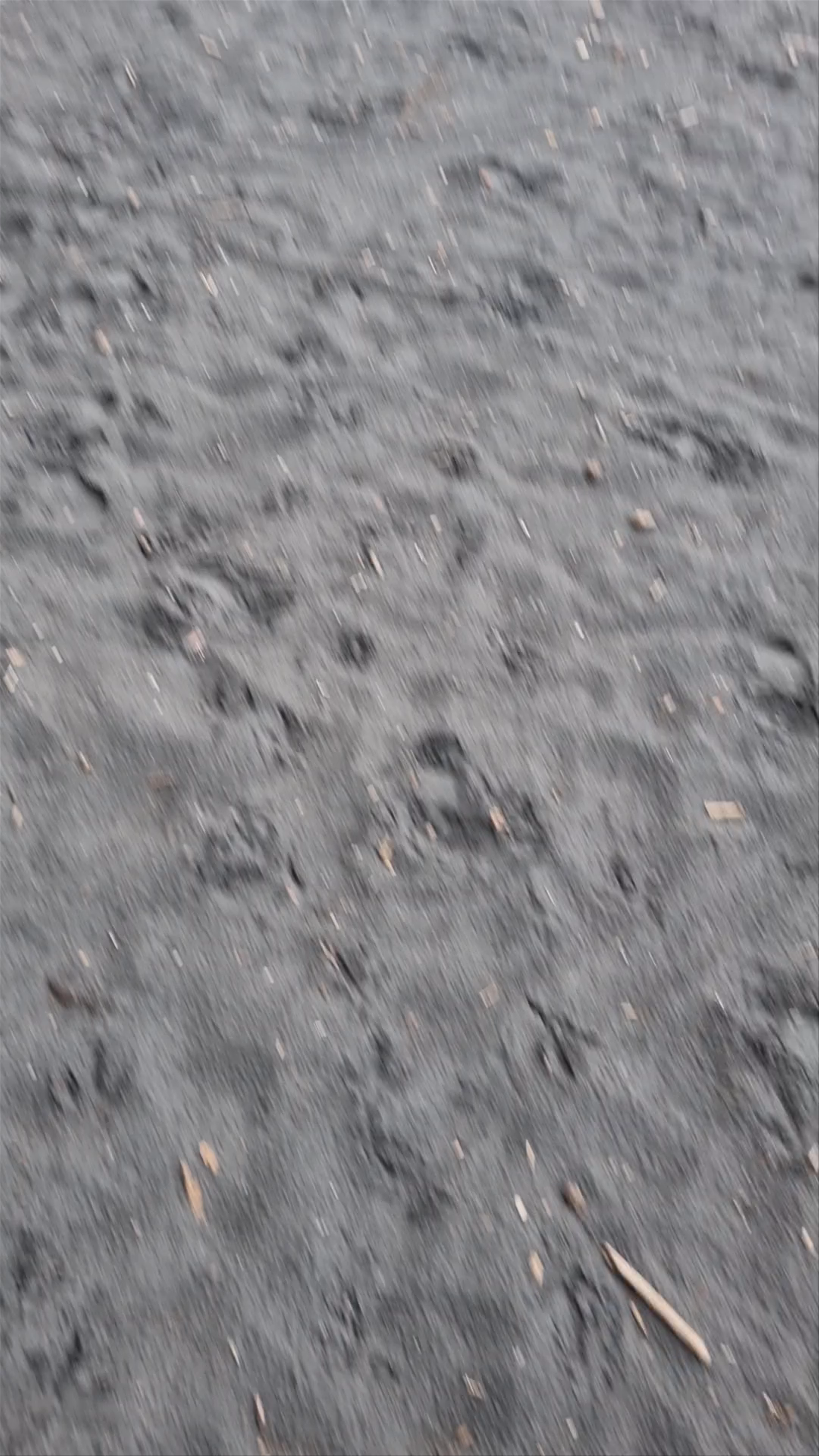 Playa Negra