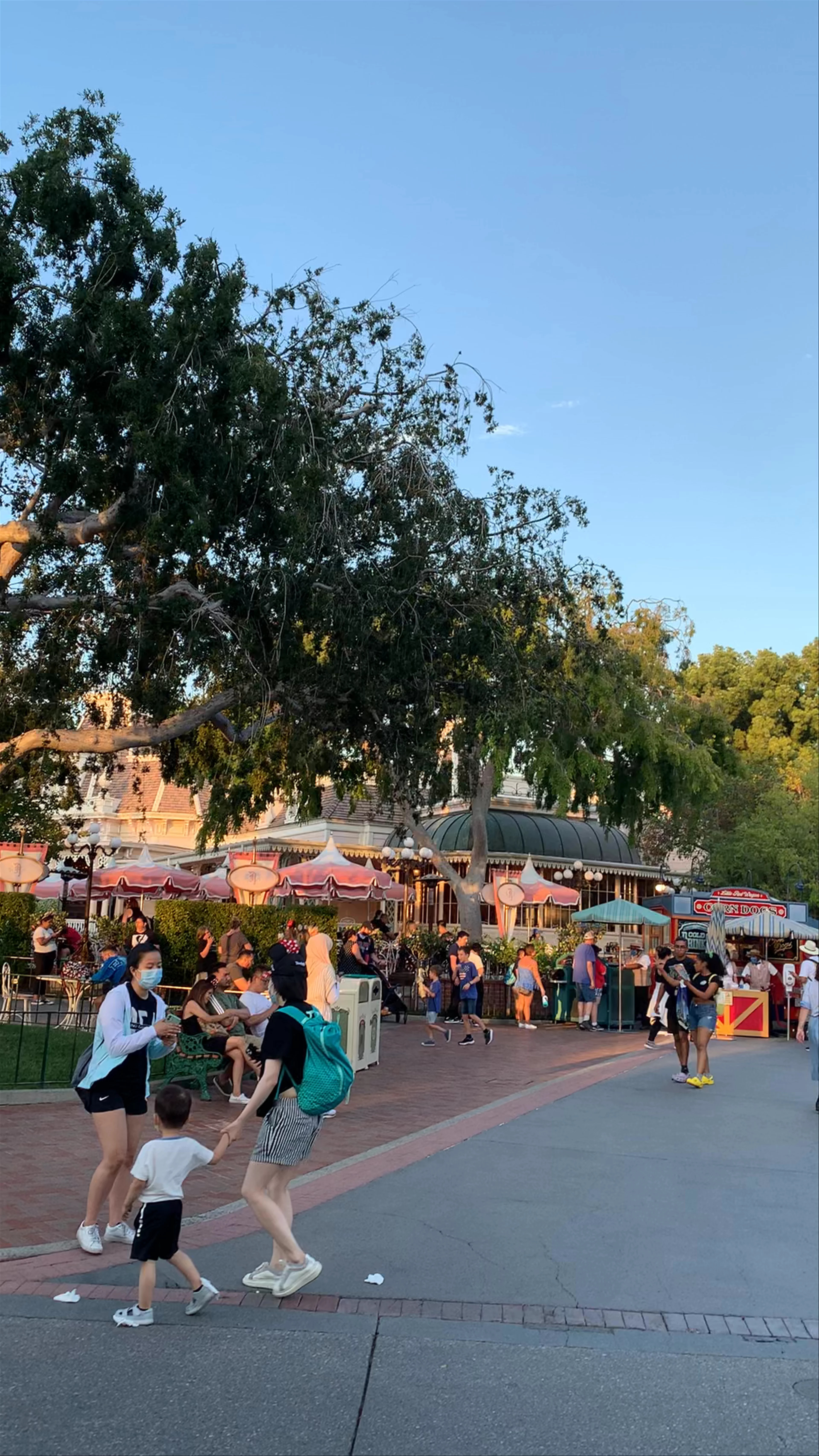 Disneyland Park, Main St