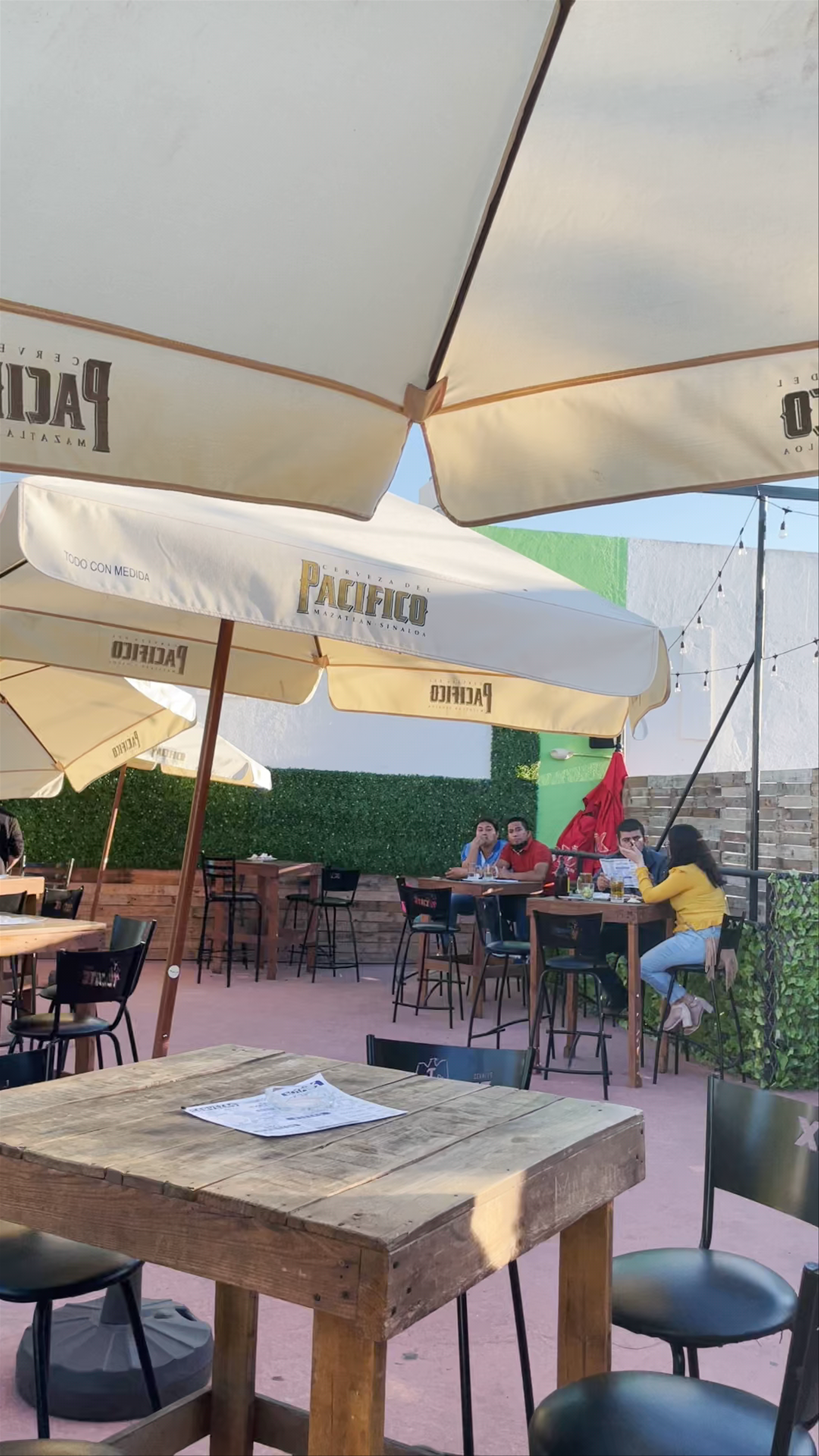 El Parnazo