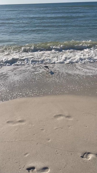 Lowdermilk Park - Parks Near Me - Naples, Florida
