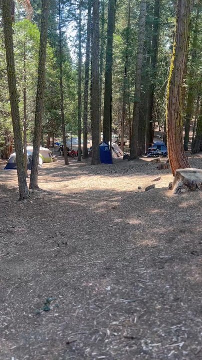 Pinecrest Campground - This place is the most action place to sleep and wake up in the morning - Parks Near Me - Pinecrest, California