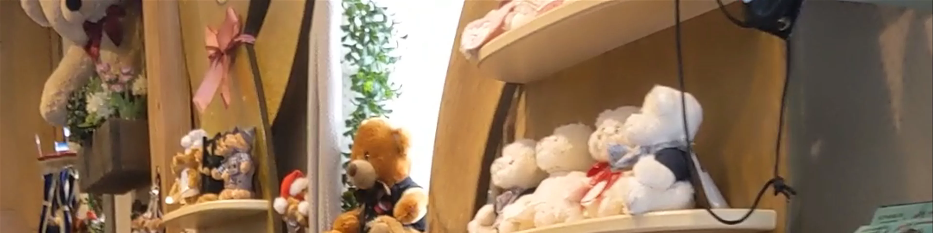 Teddyland Matthias Unger e.K.