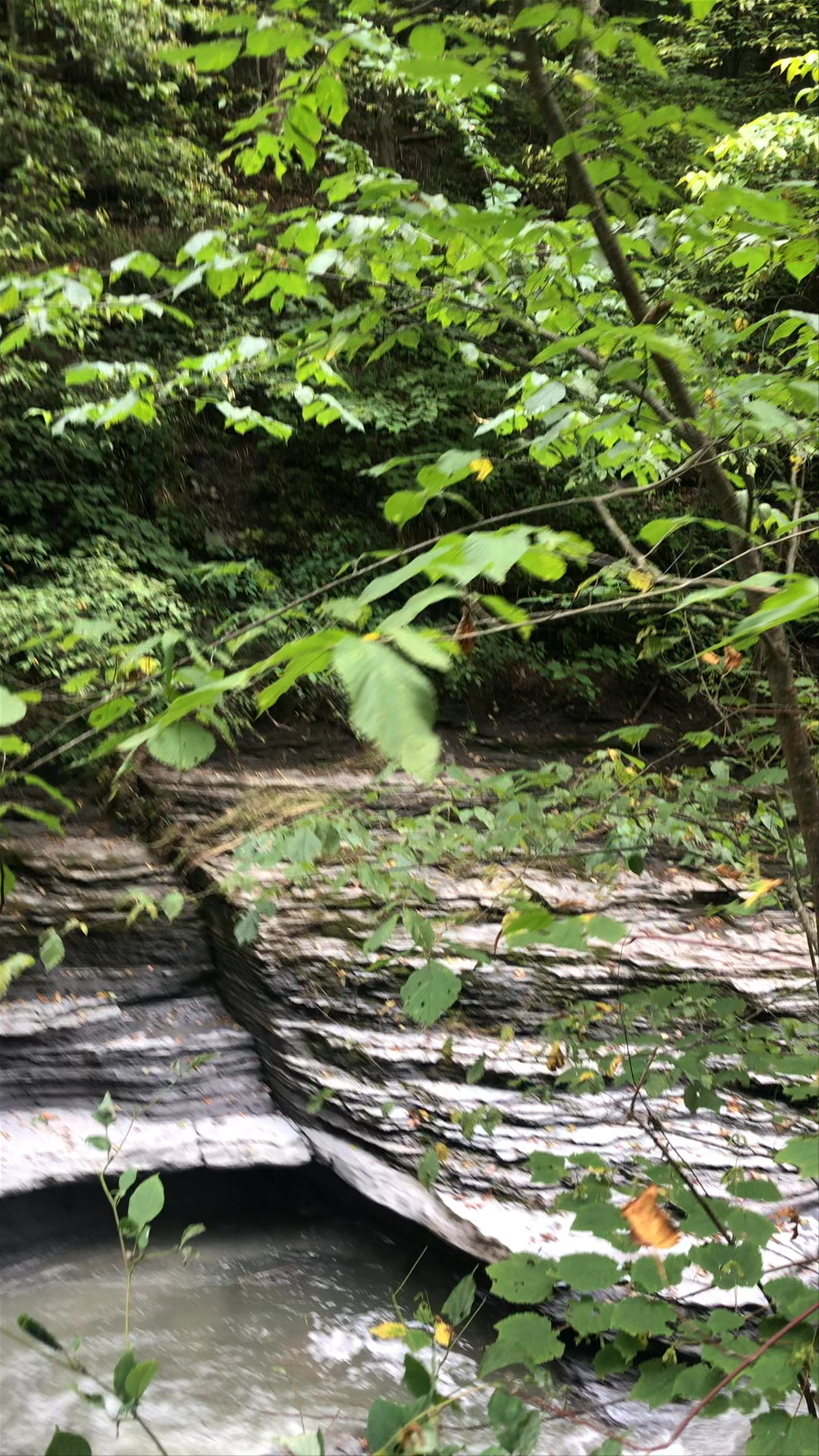 Buttermilk Falls State Park: Serene Waterfall Trail in Ithaca, New York