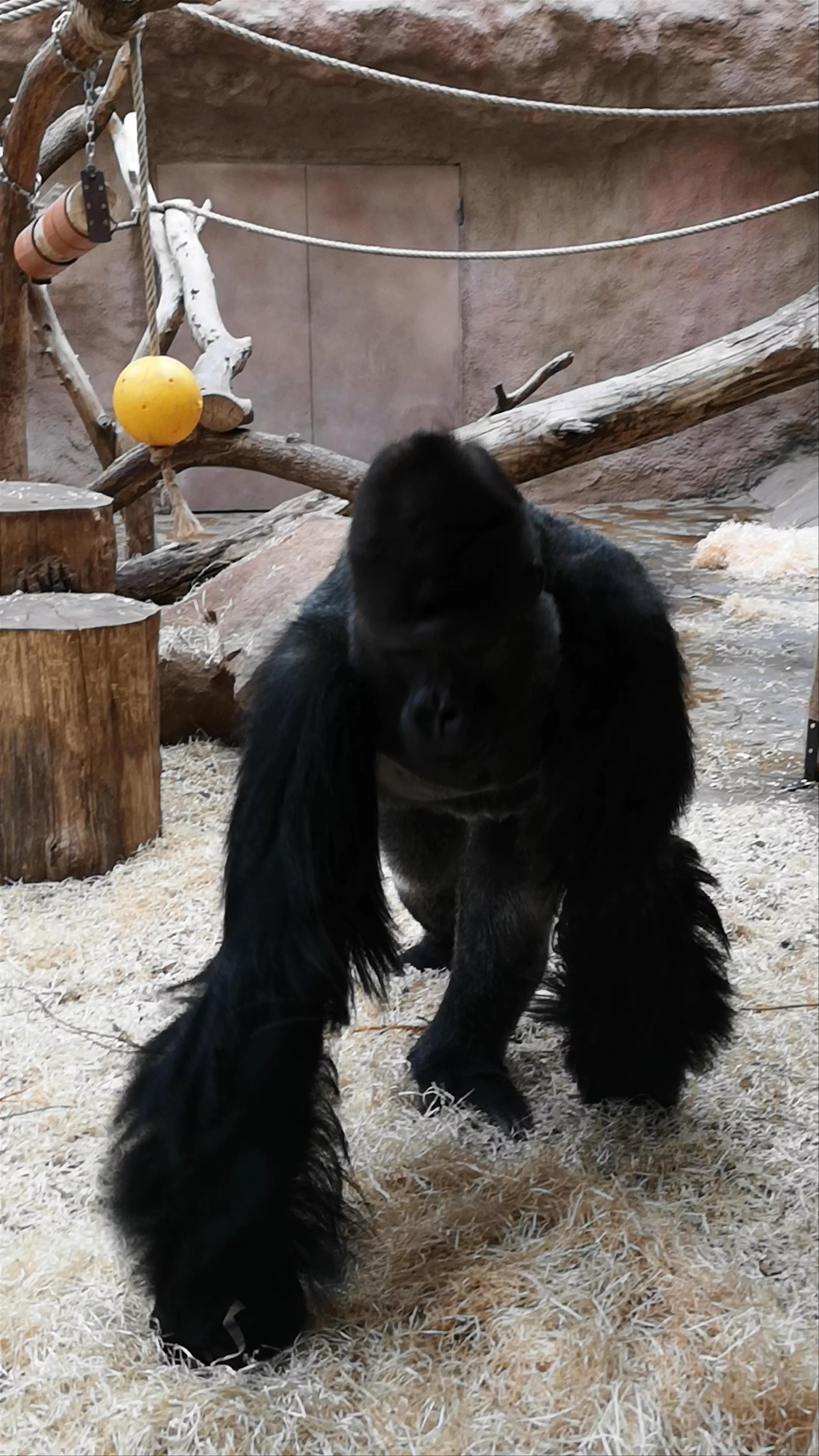 Zoo Prague