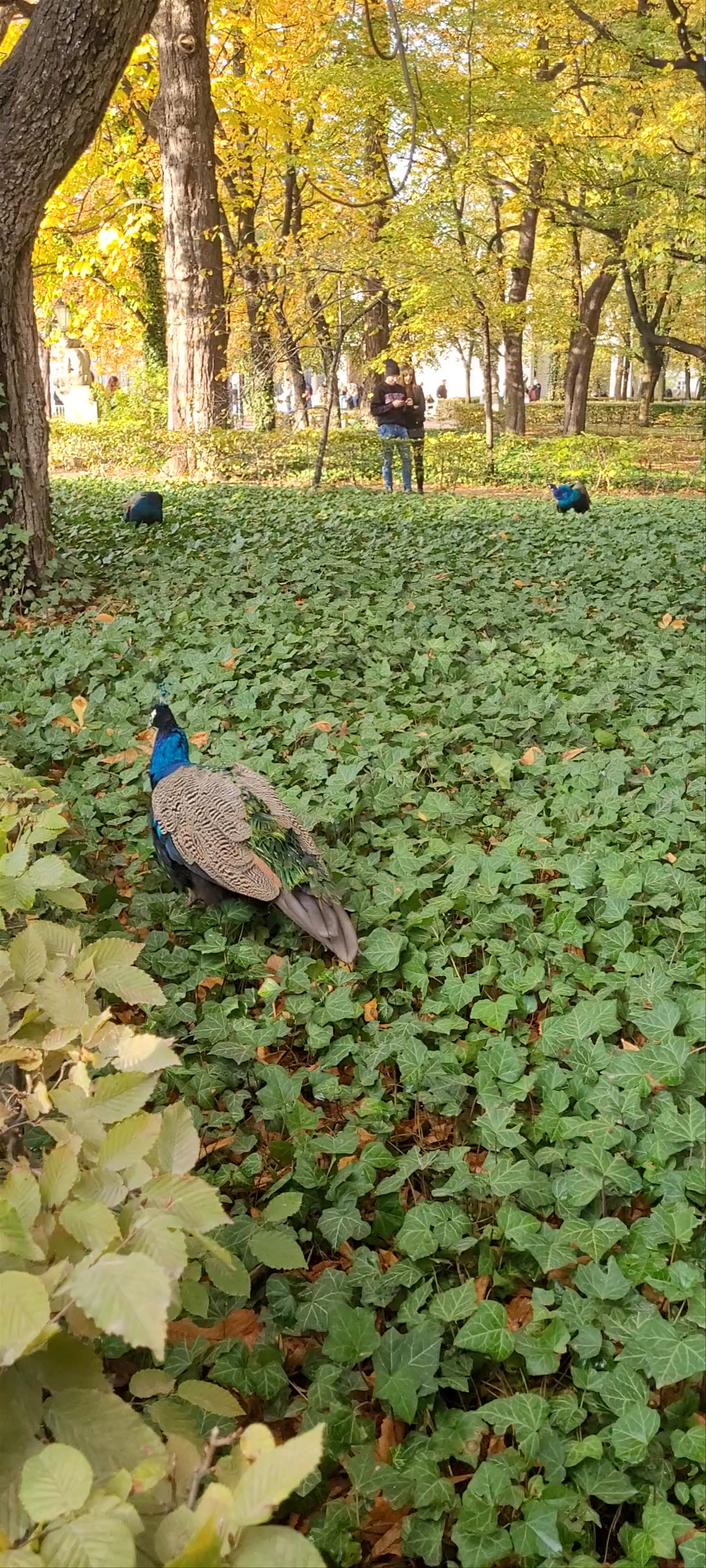 Łazienki Królewskie