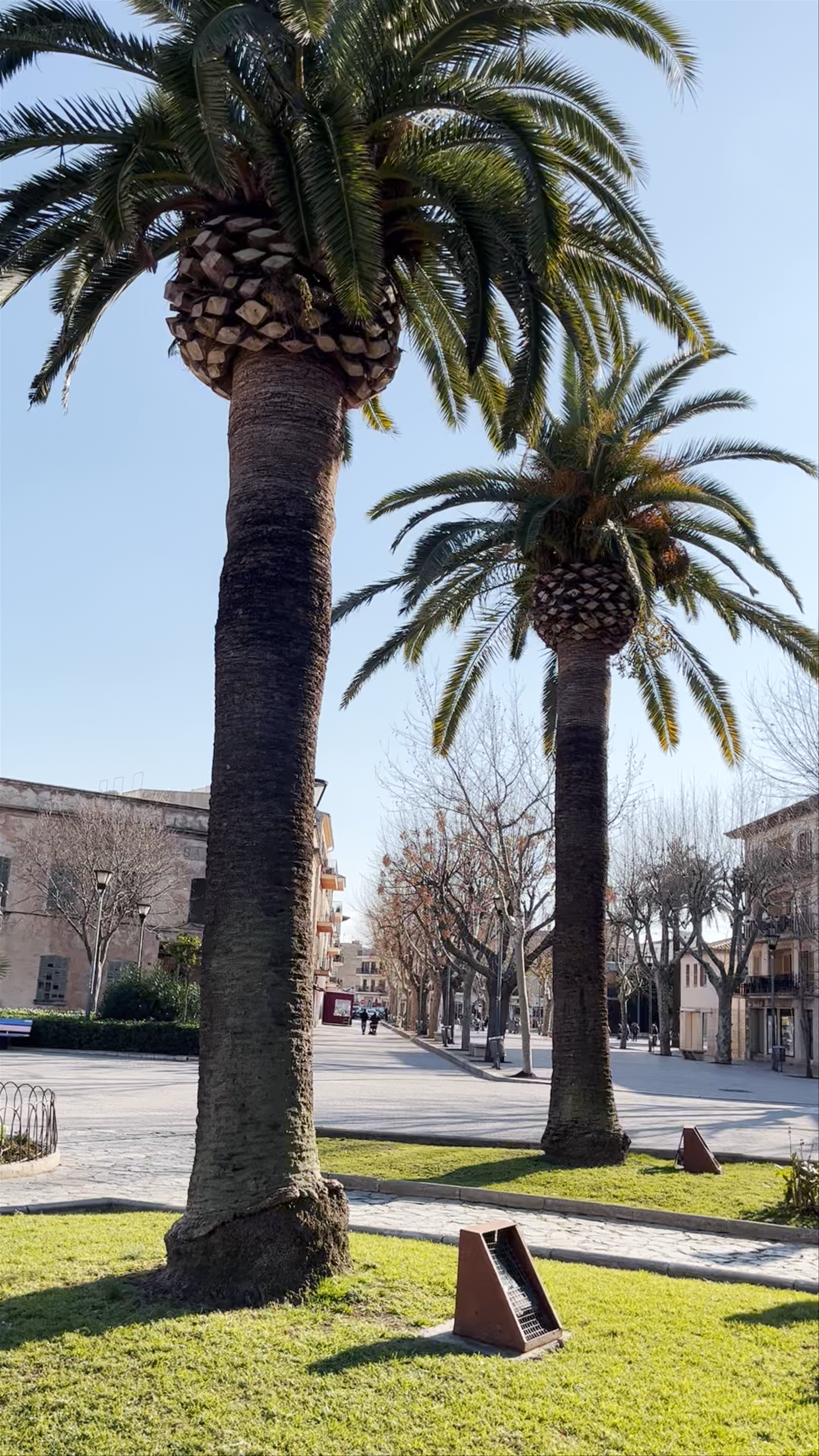 Porta del Moll: Historic Gateway in Alcúdia, Spain