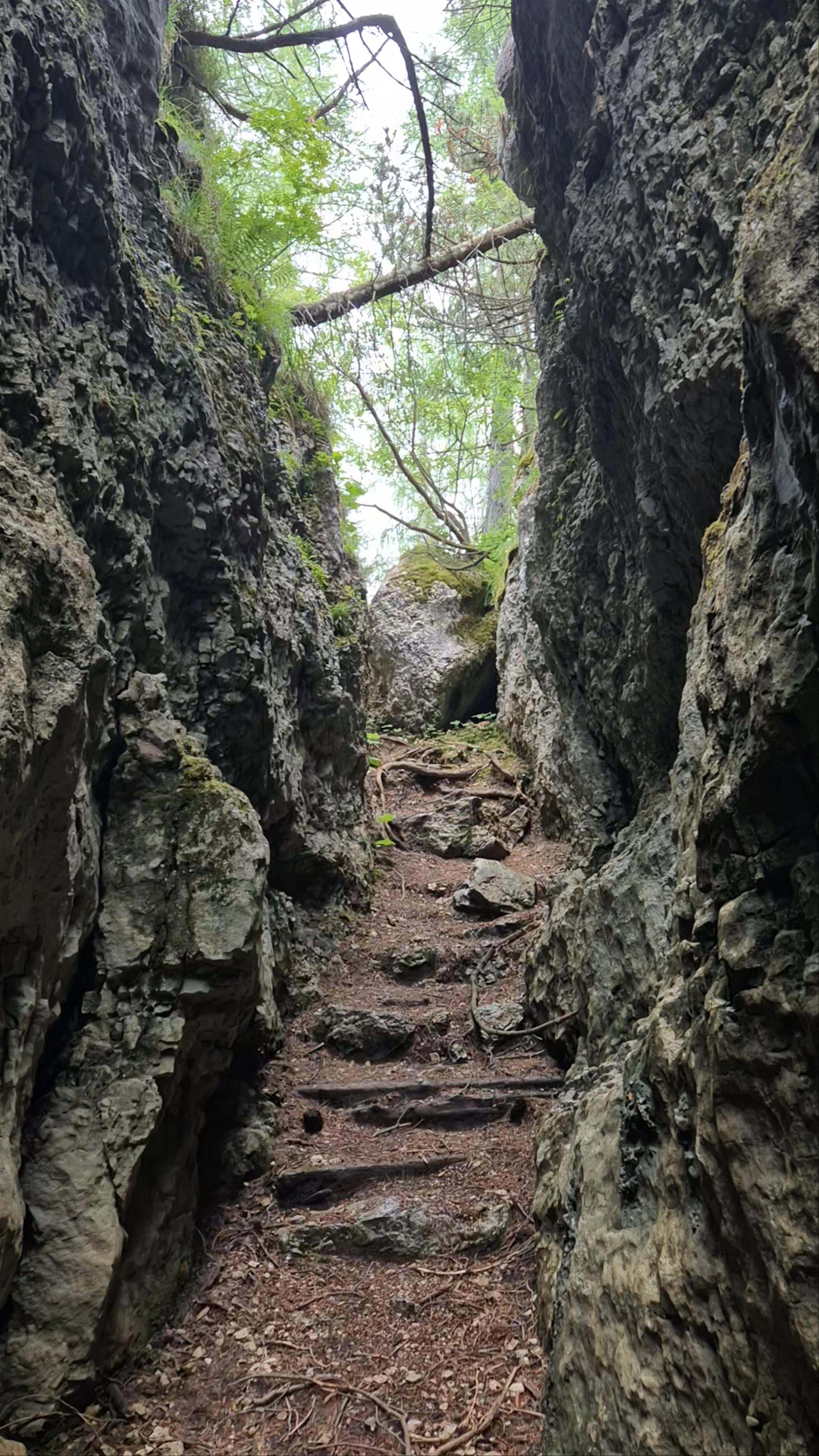 Secret Rocky Pathways in Castelloni di San Marco, Asiago