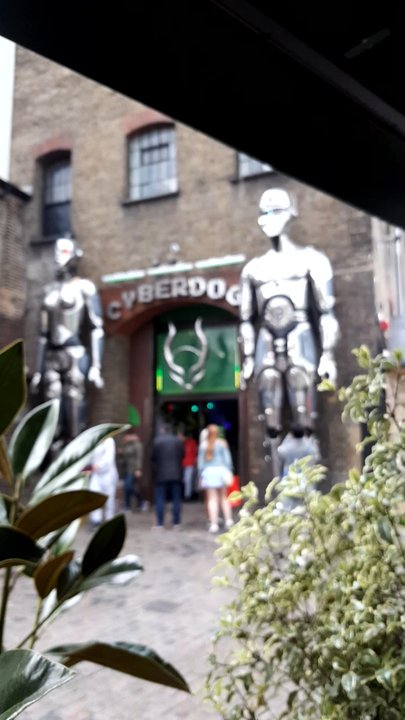 Cyberdog - Entrance to another world - Women's Clothing Near Me - London, XGL