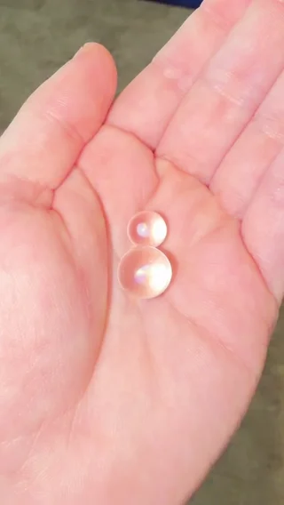 Preview pic of Bororegon Opal Valve and Big Pearl