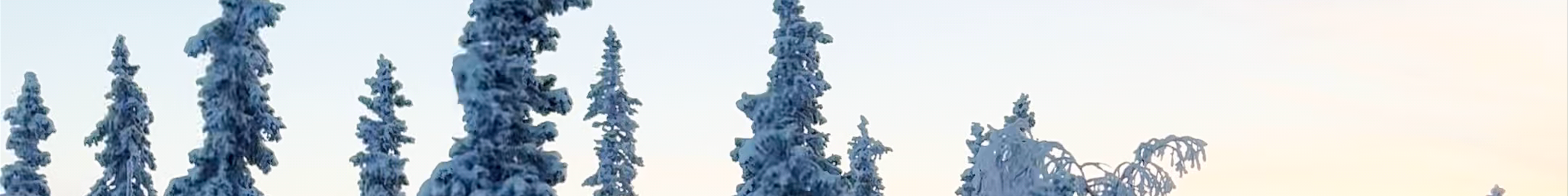 Tours & experiences in Kittilä