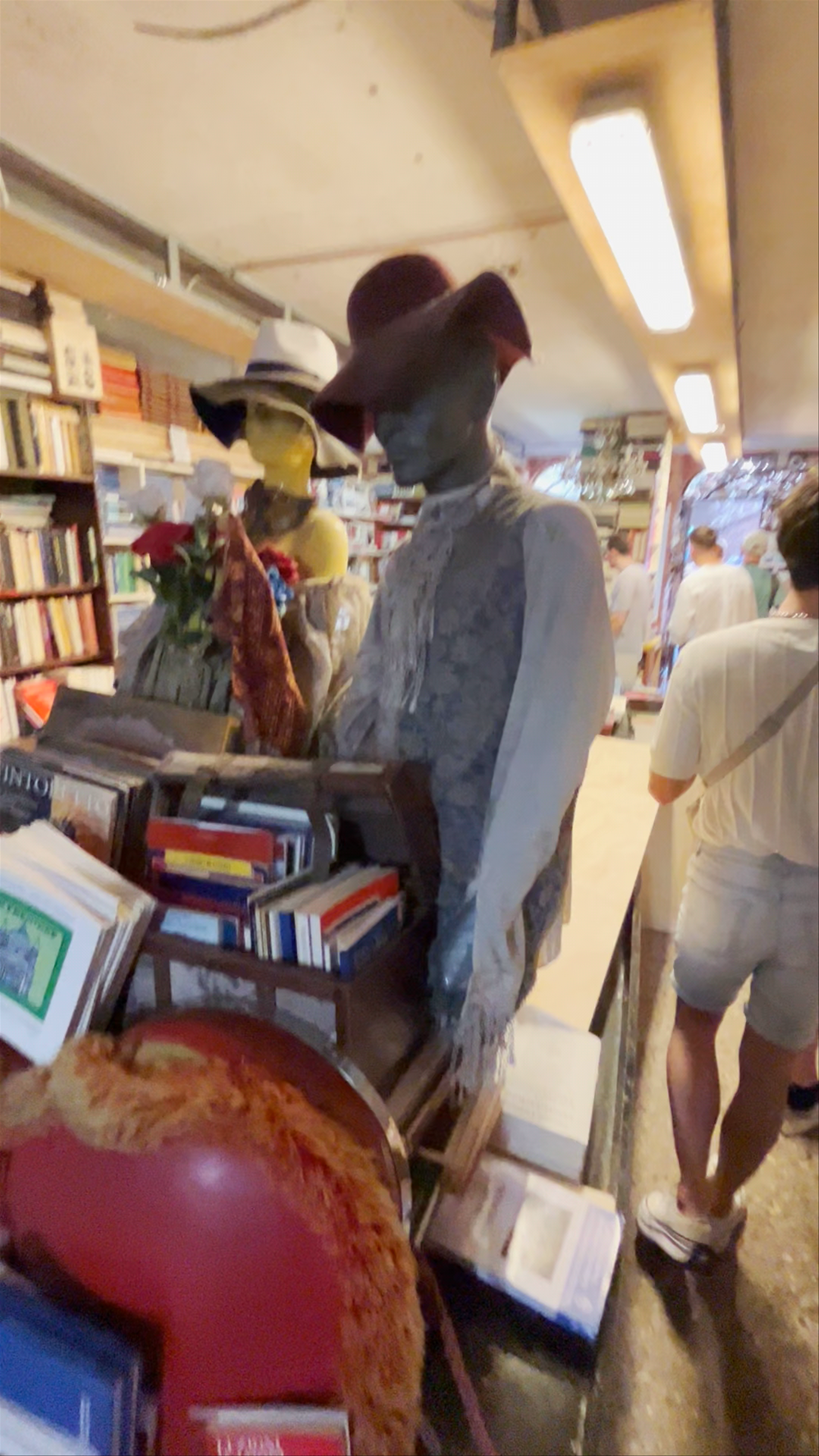 Libreria Acqua Alta