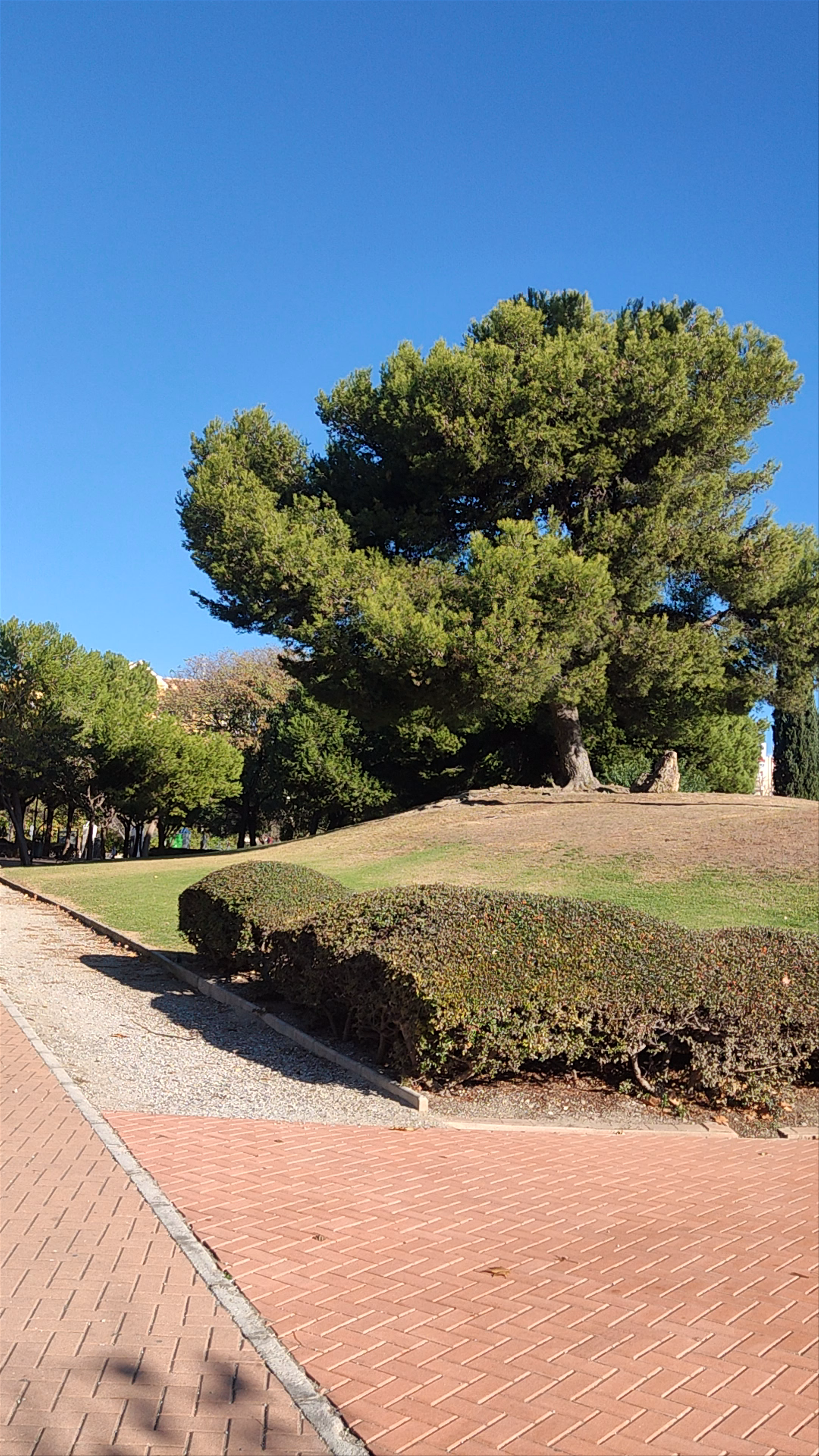 Parque de la Paloma