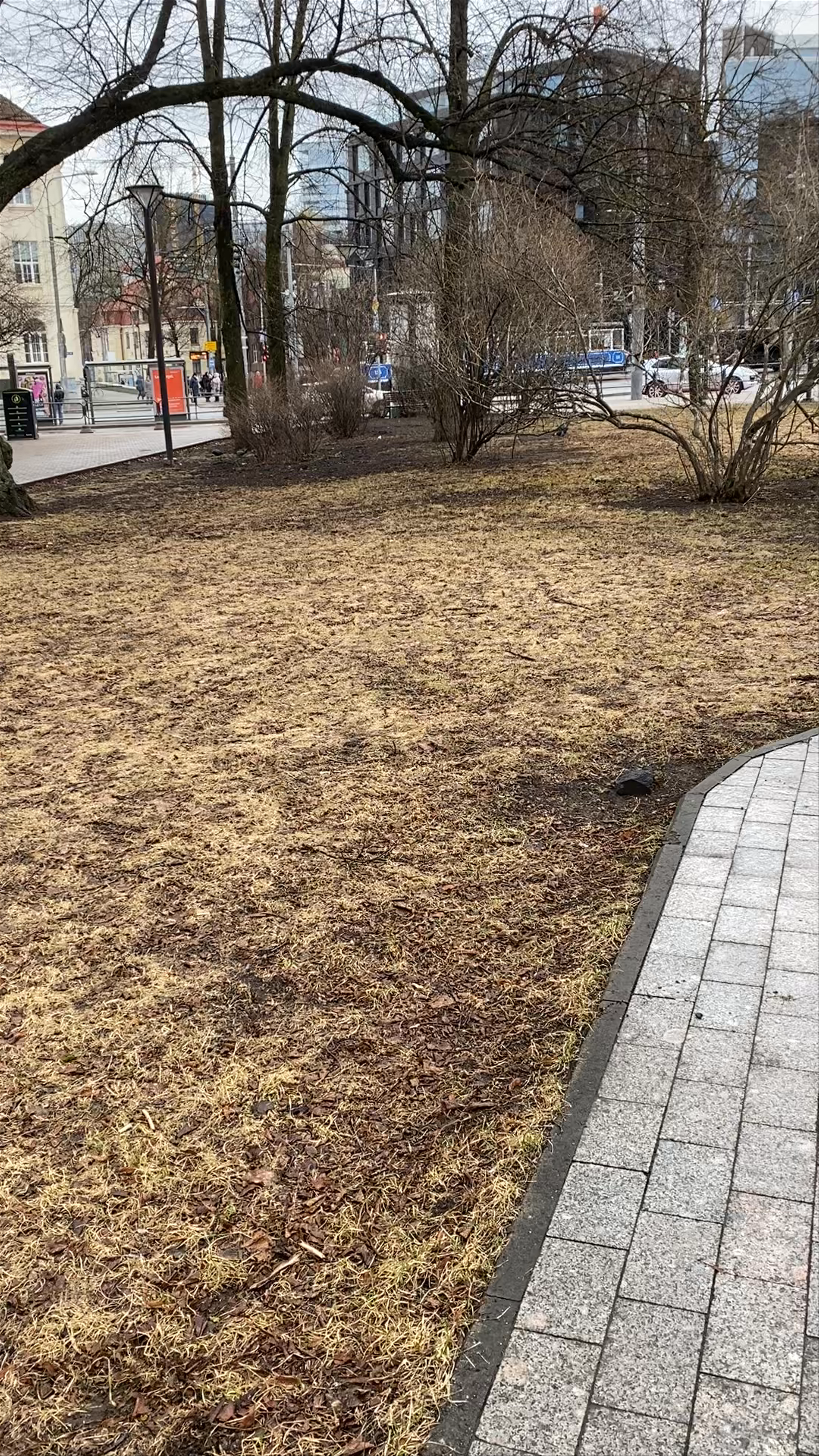The War of Independence Victory Column