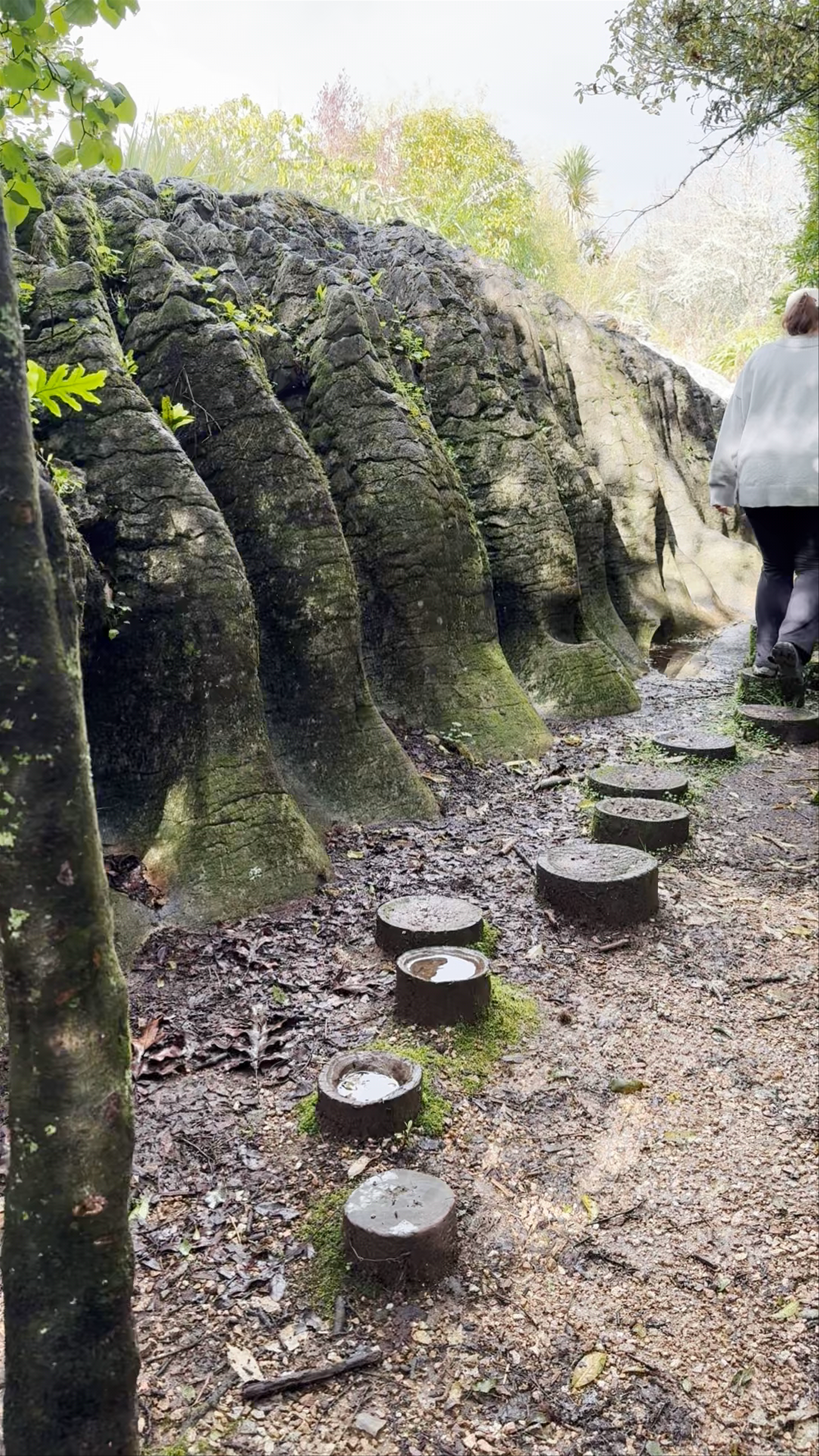 Labyrinth Rocks Scott Rd