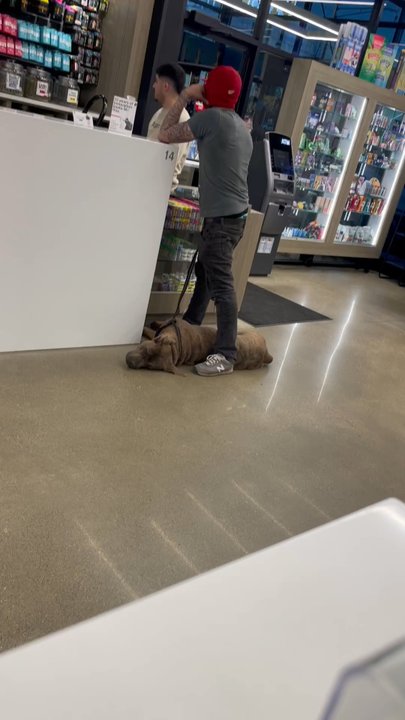 PUFF UTICA - Our dog friendly dispensary - Cannabis Dispensaries Near Me - Utica, Michigan