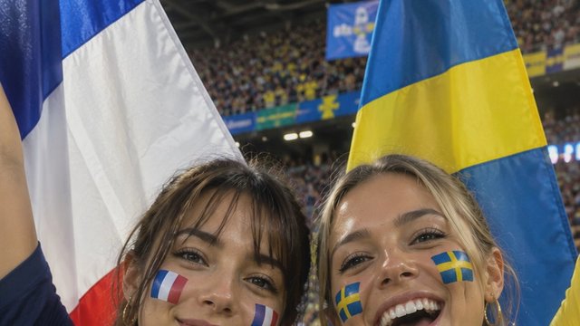 France and Sweden today lets see who will win #fifa