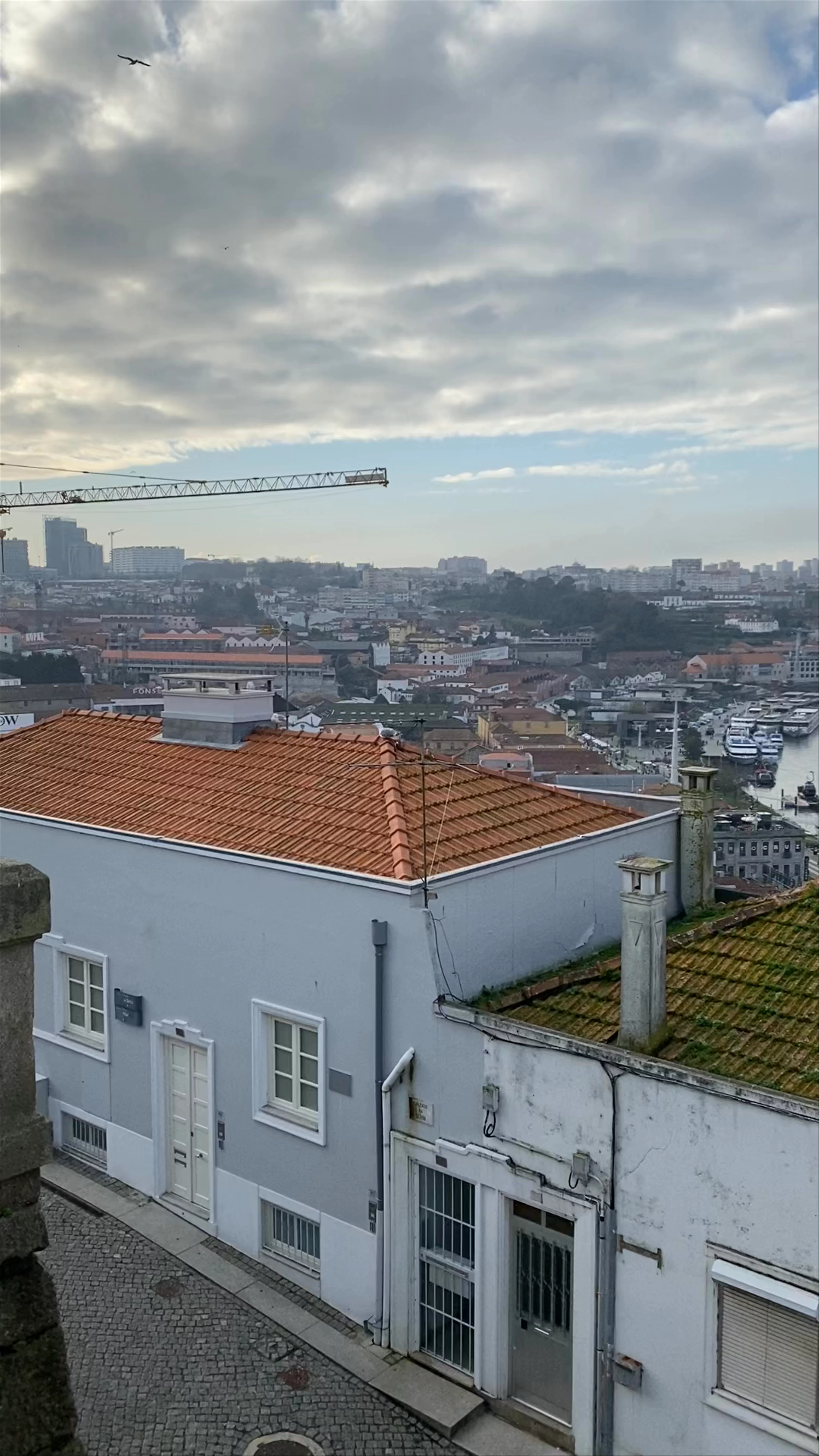 Miradouro do Chrissy