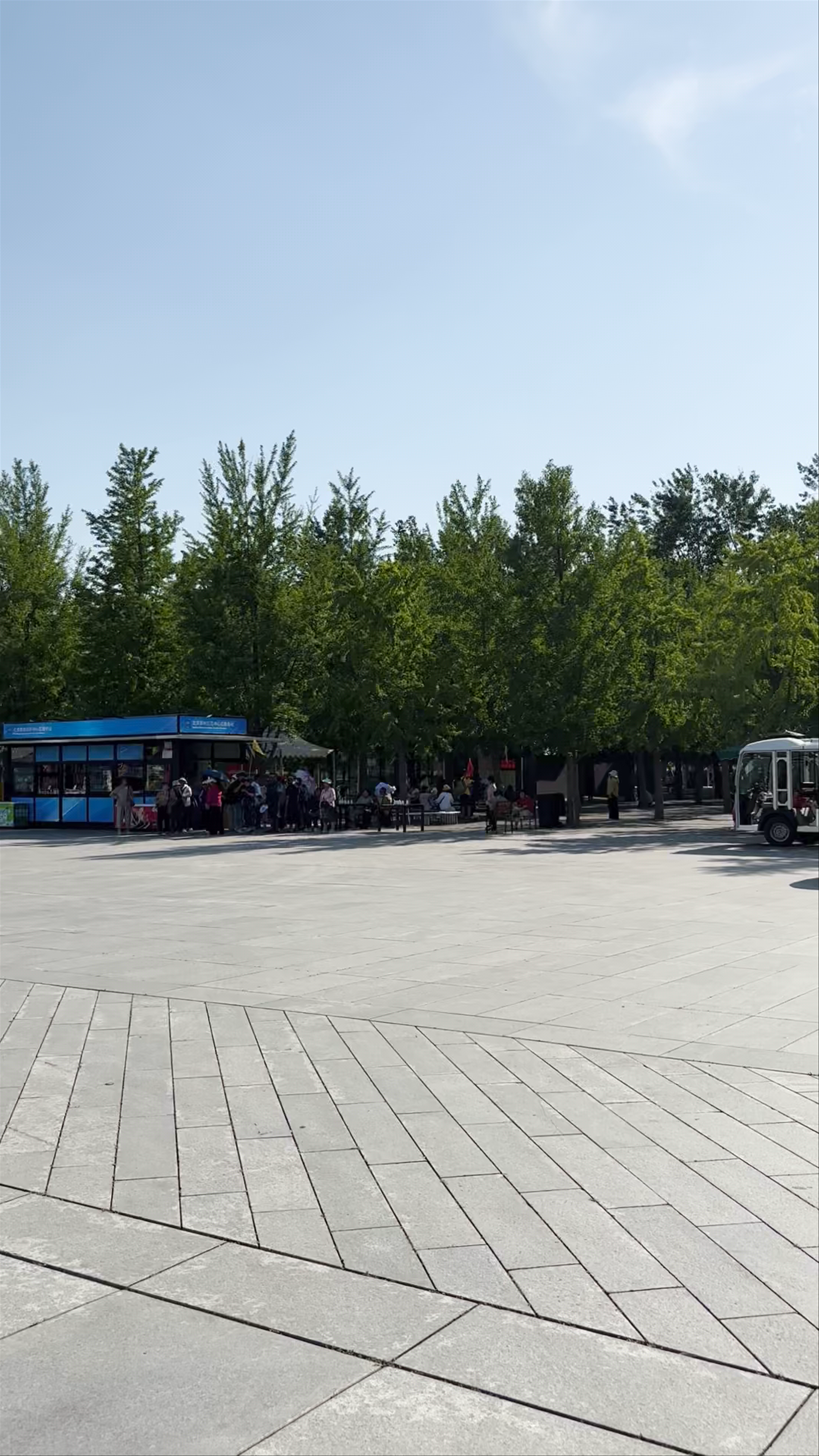 Vibrant Day at Beijing’s Olympic Green: Space, Style, and Serenity
