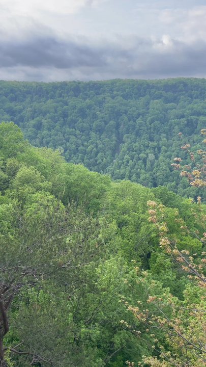 Experience Chattanooga - Tours Near Me