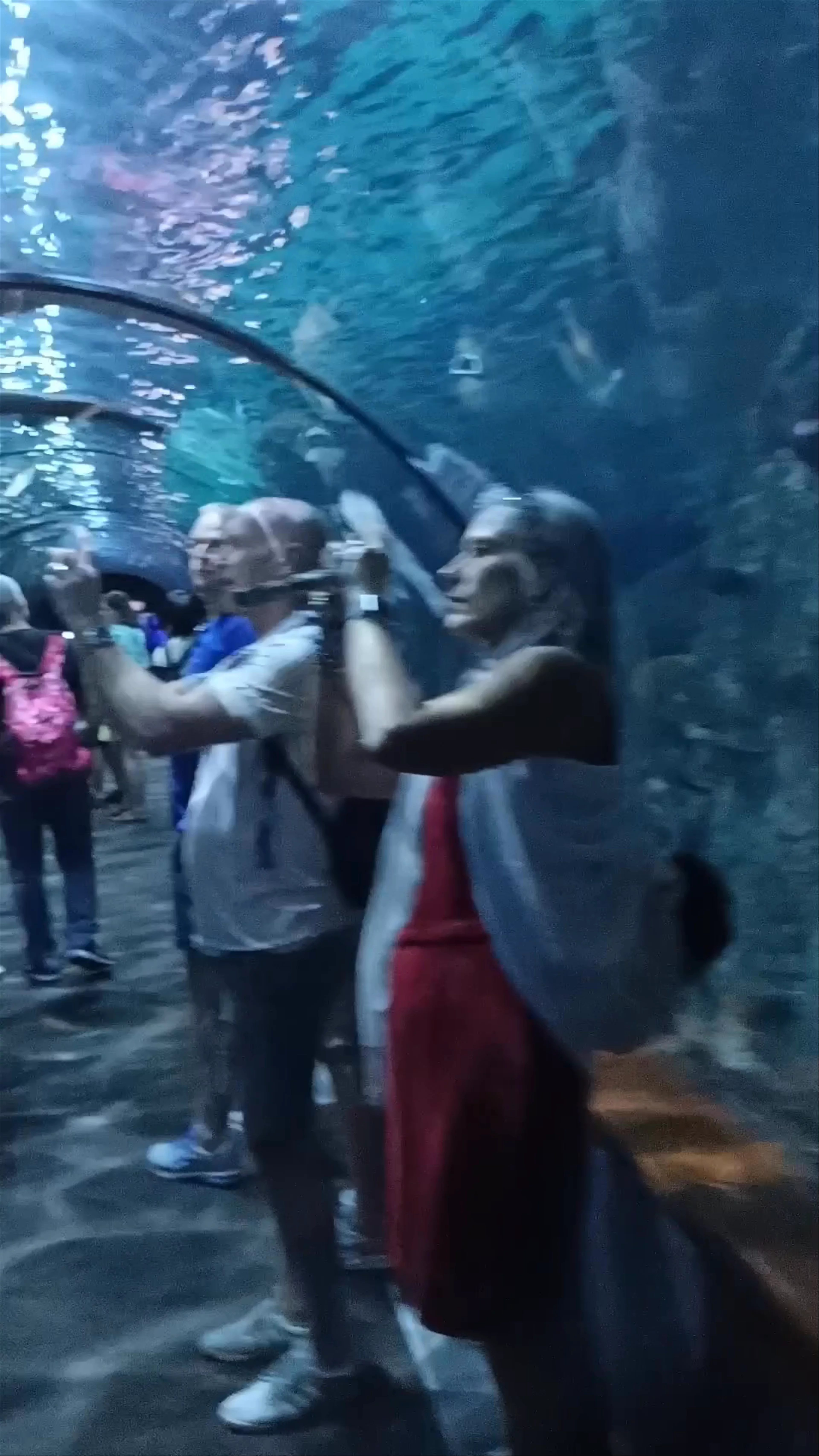 Acuario, Av. Loro Parque