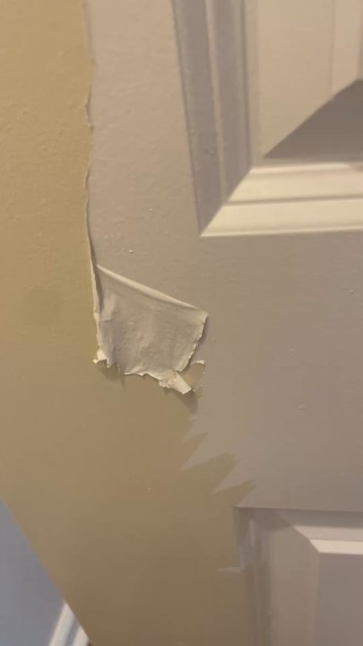Visionary Builds - Paint literally peeling off of the doors/walls. - Fences & Gates Near Me