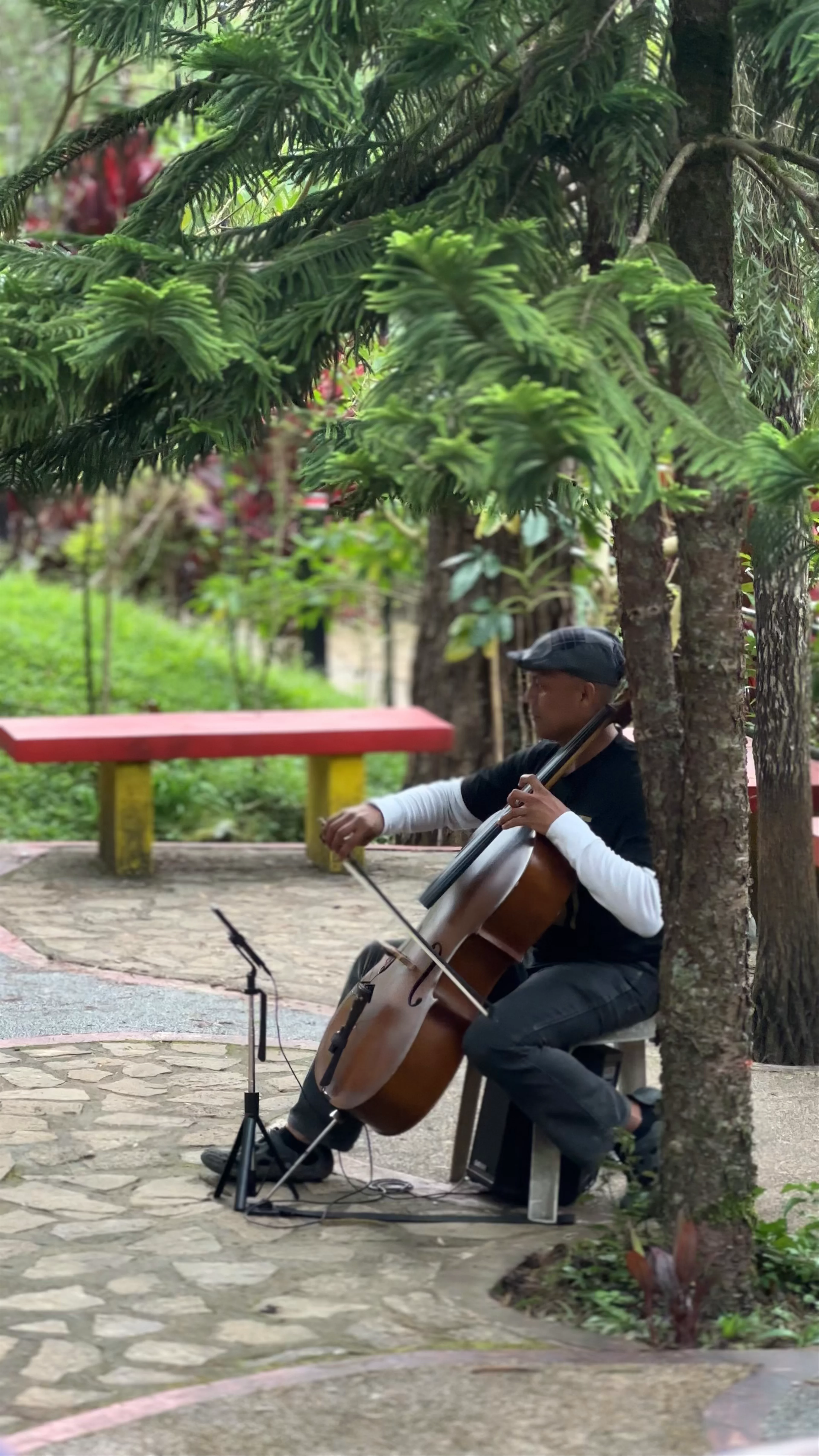 Botanical Garden, Baguio