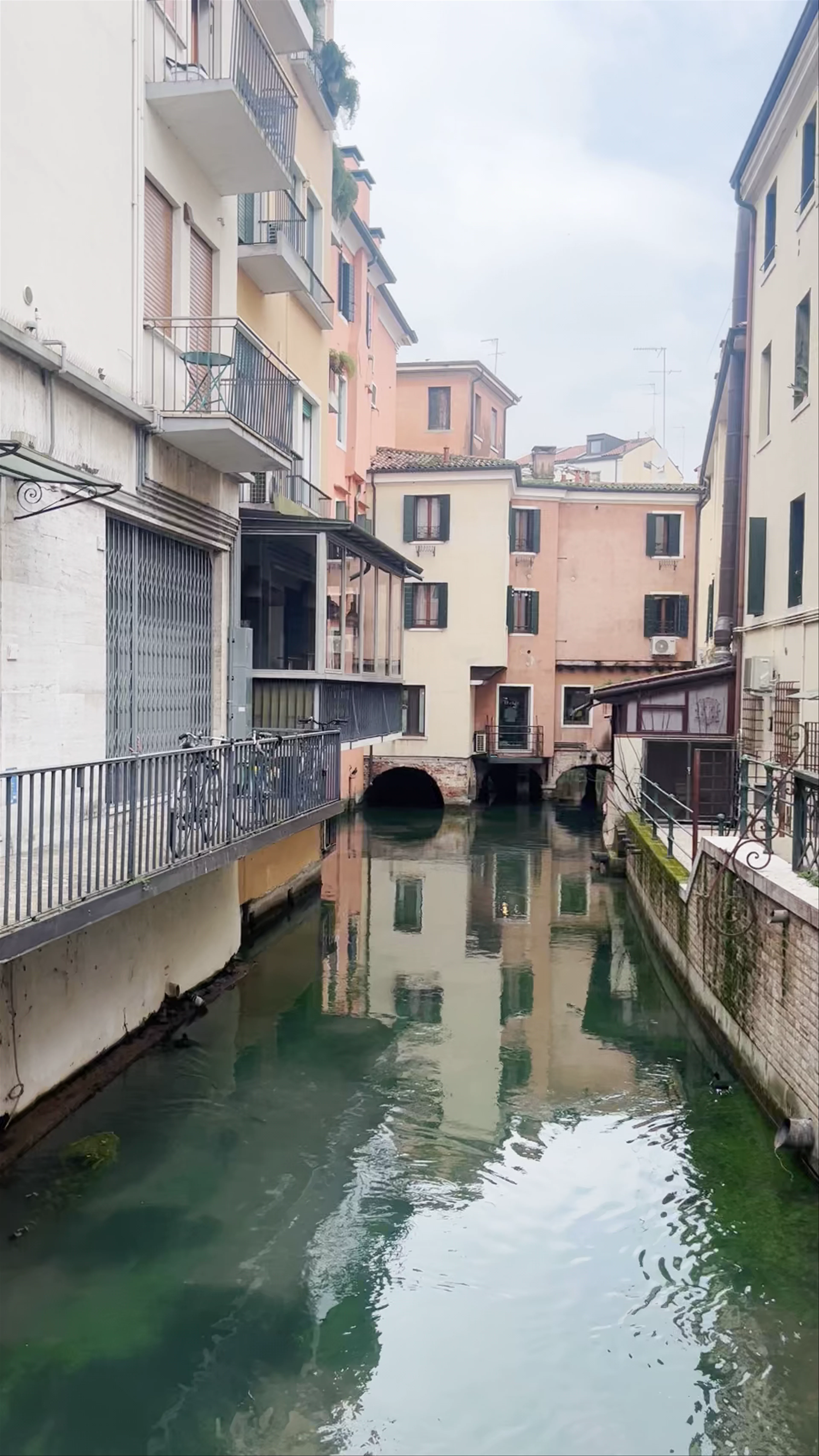 Buranelli, Treviso