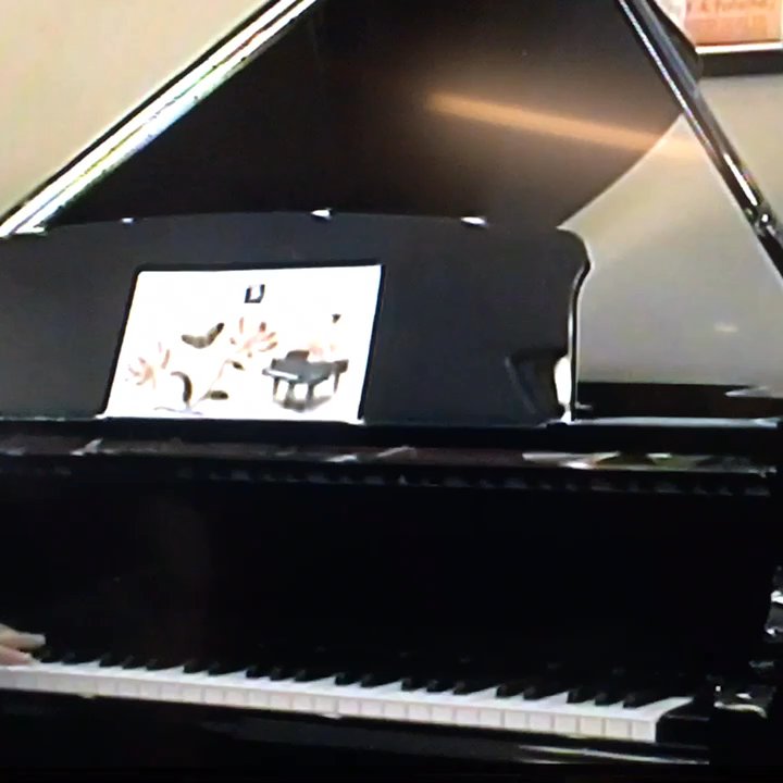 PianoWorks - Beethoven appassionata third movement on the finest piano in the world - Piano Stores Near Me - Duluth, Georgia