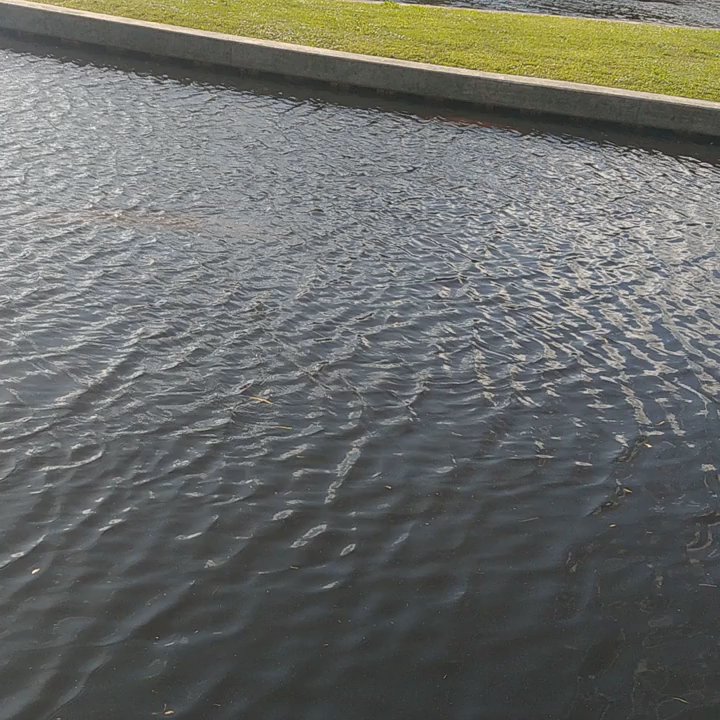 Manatee Park - Parks Near Me - Fort Myers, Florida