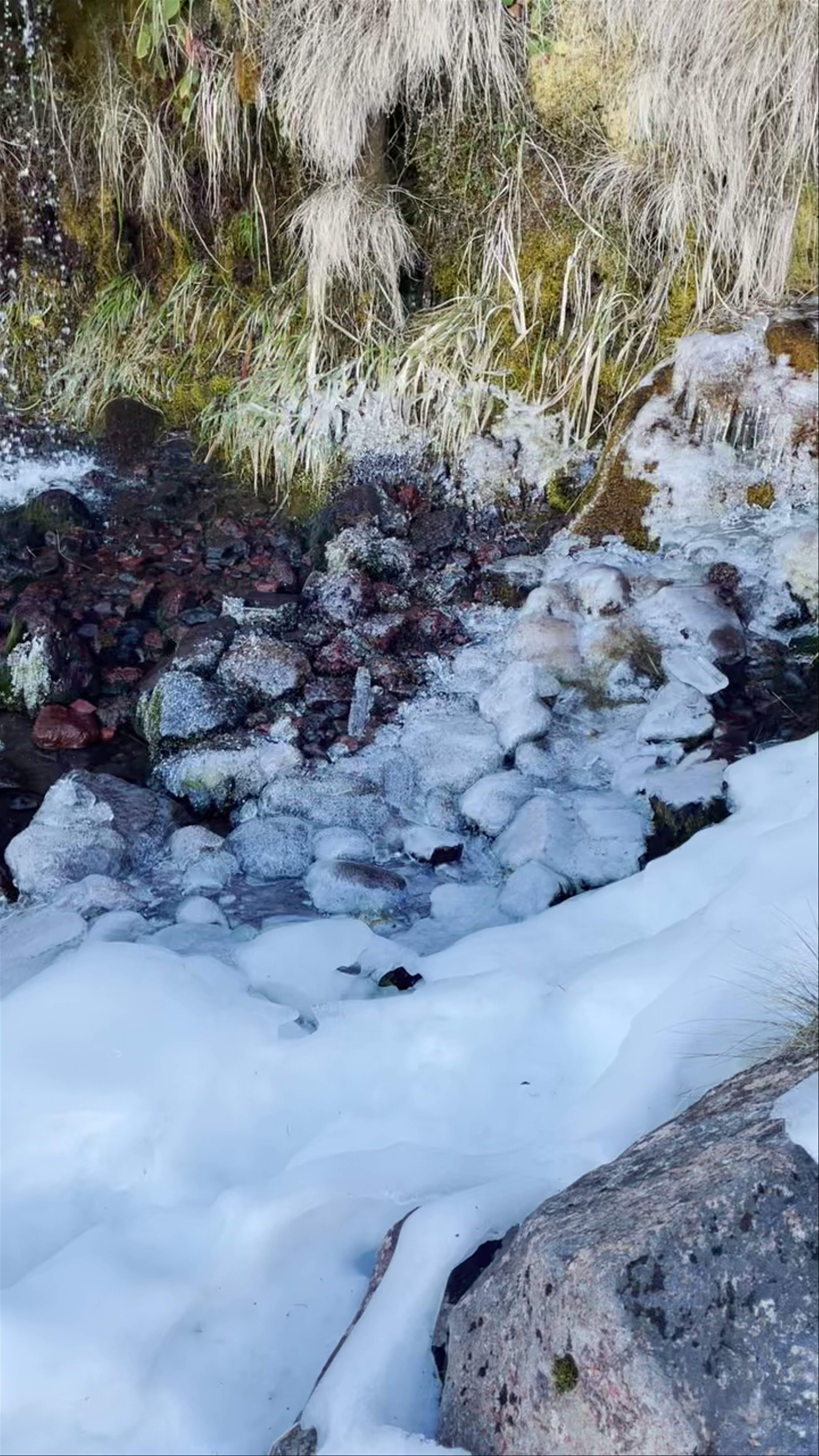Soda Springs Tongariro Alpine Crossing