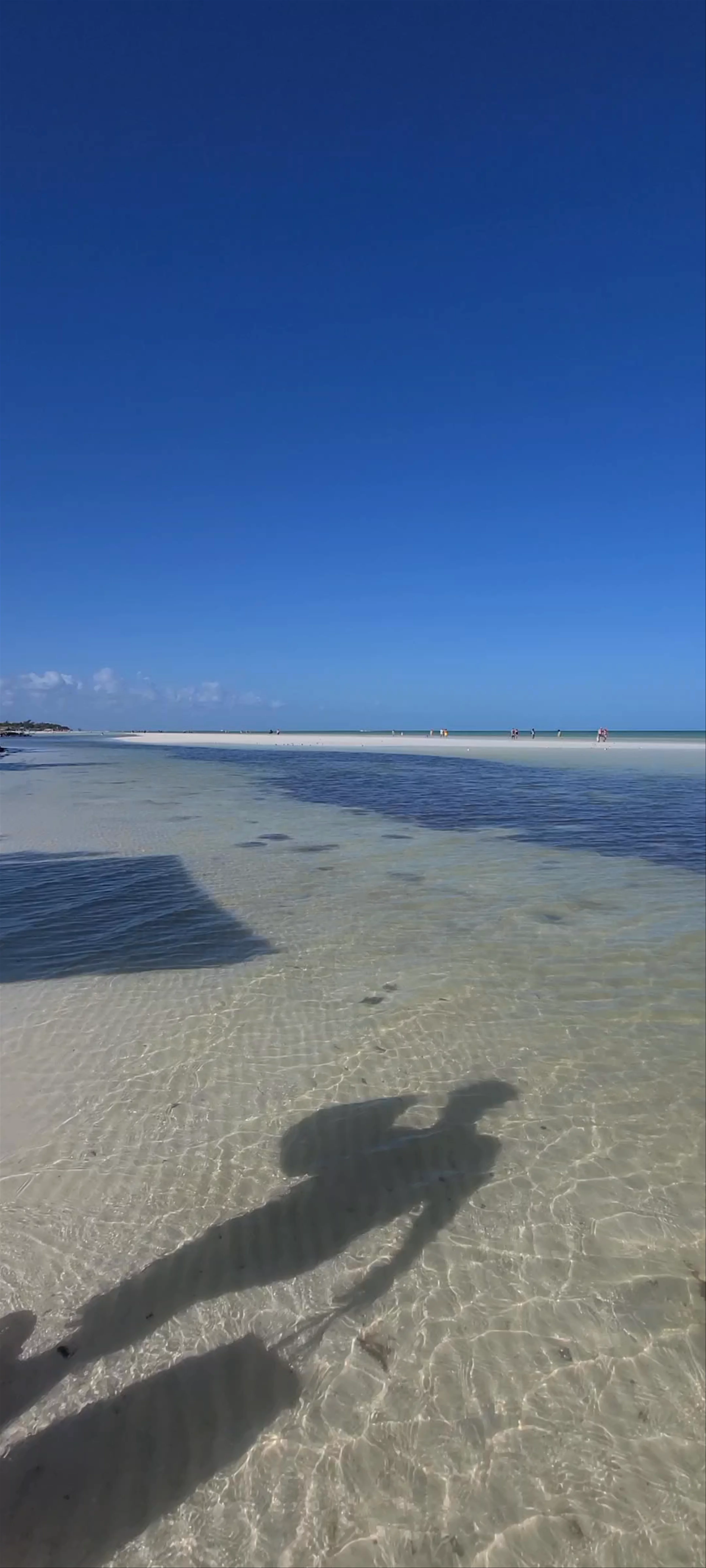 Punta Mosquito