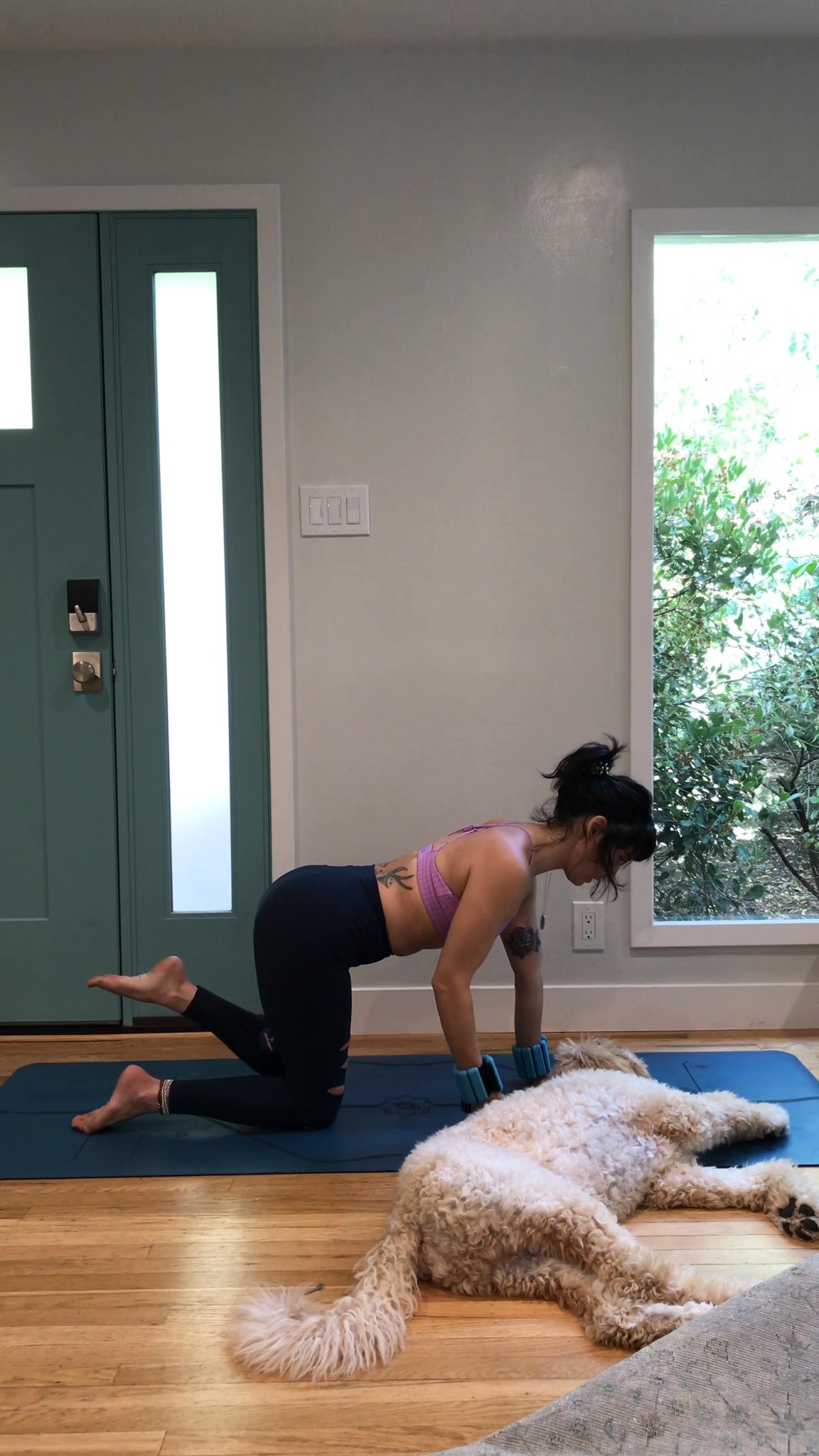 Th Daily Barre -Light Weights