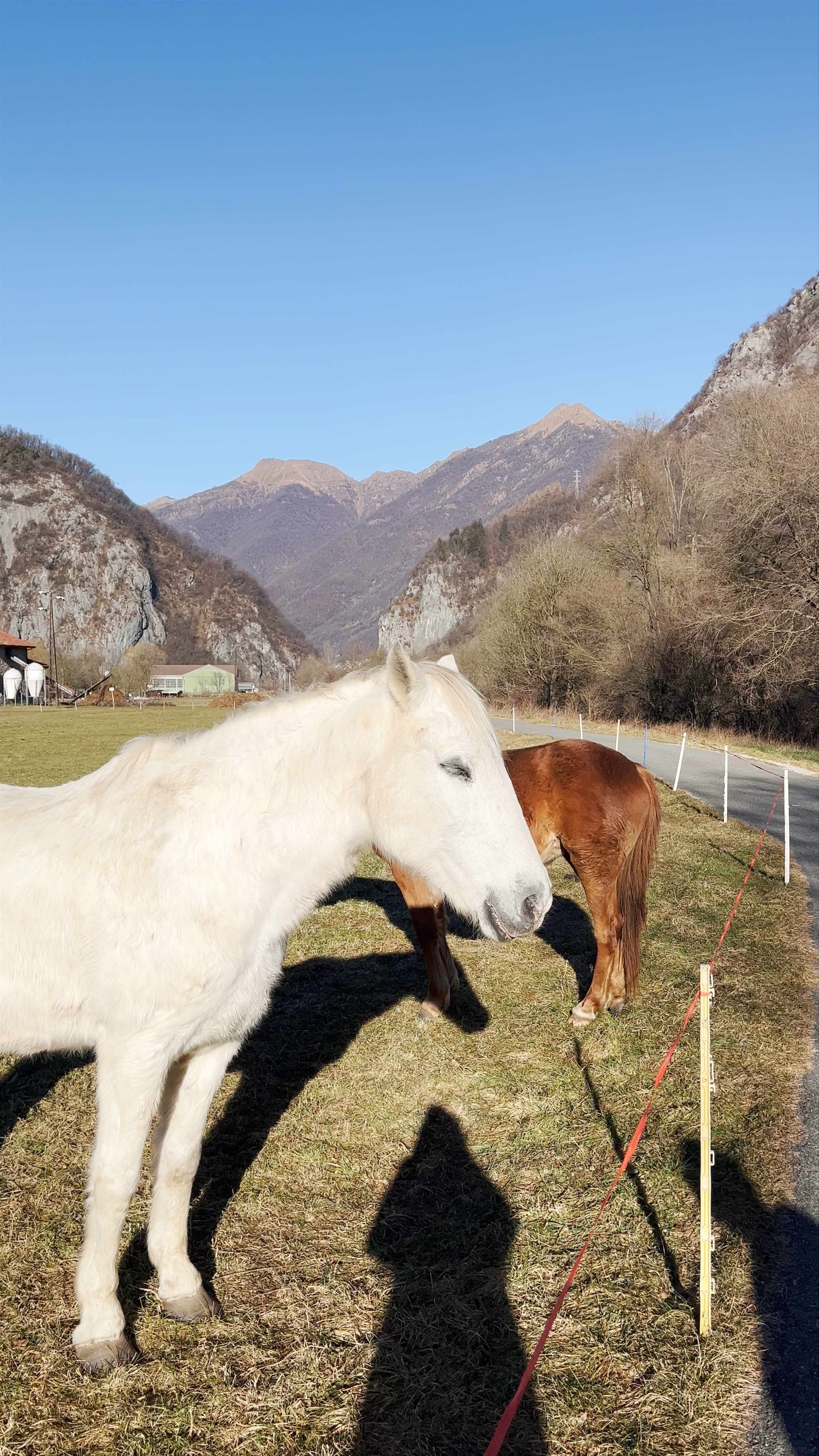 Pista ciclabile Valsassina