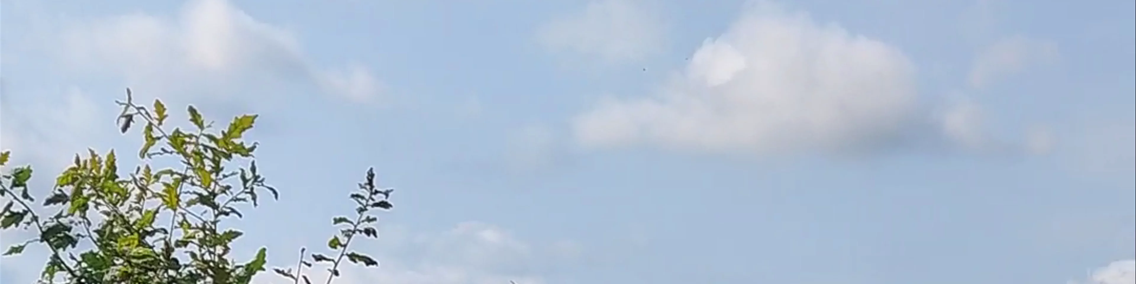 Agroturystyka Polana Giebułtów Mirsk