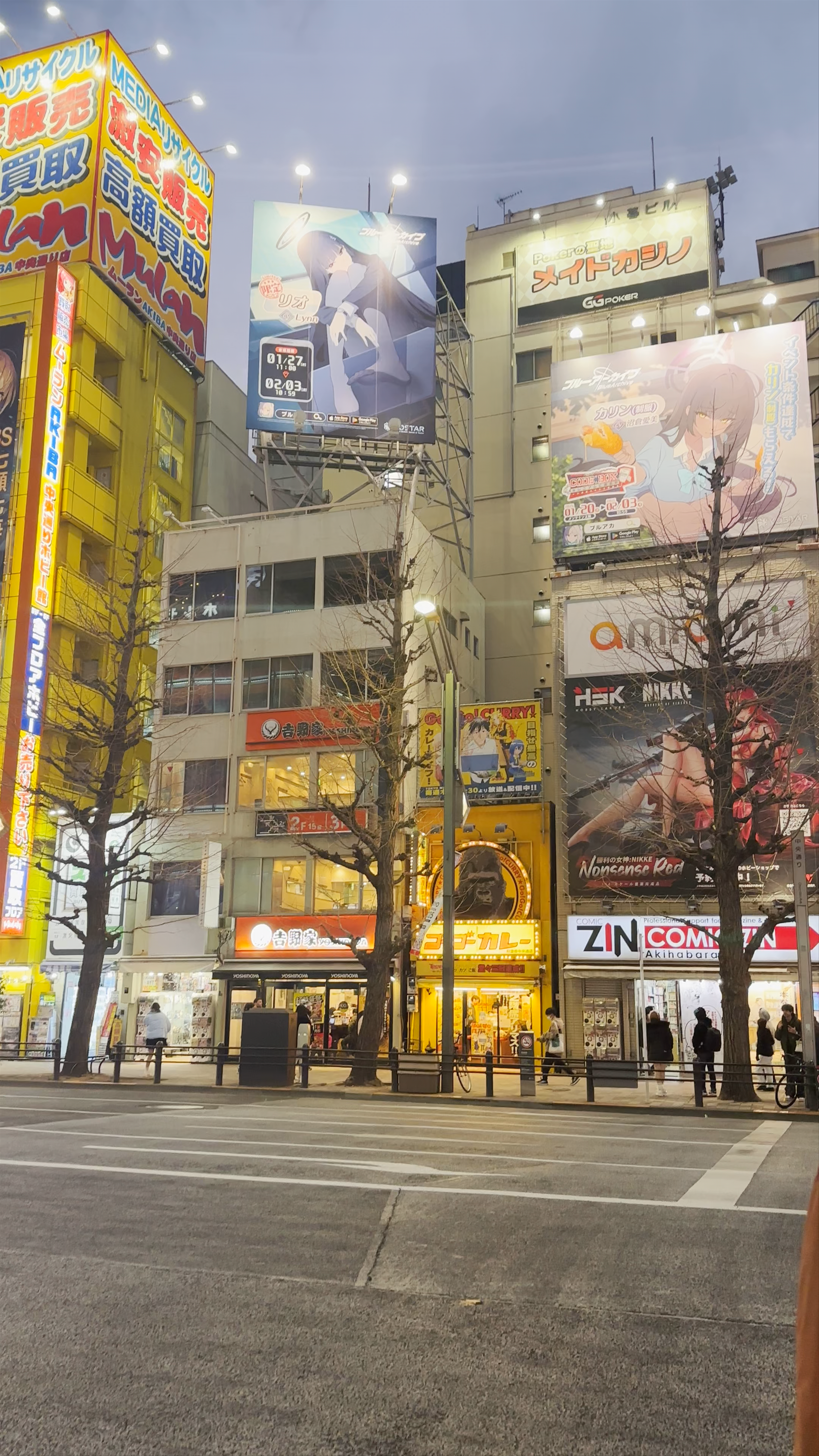 Night Lights and Neon Dreams in Akihabara Electric Town, Tokyo
