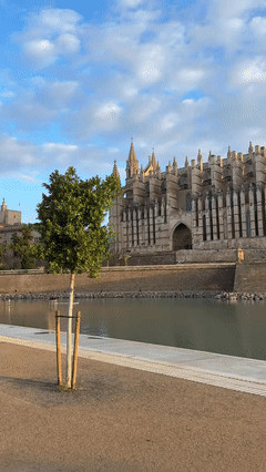 Catedral Basílica de Santa María de Mallorca