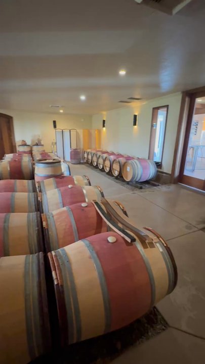 The Lucas Winery - Barrel room - Wineries Near Me - Lodi, California