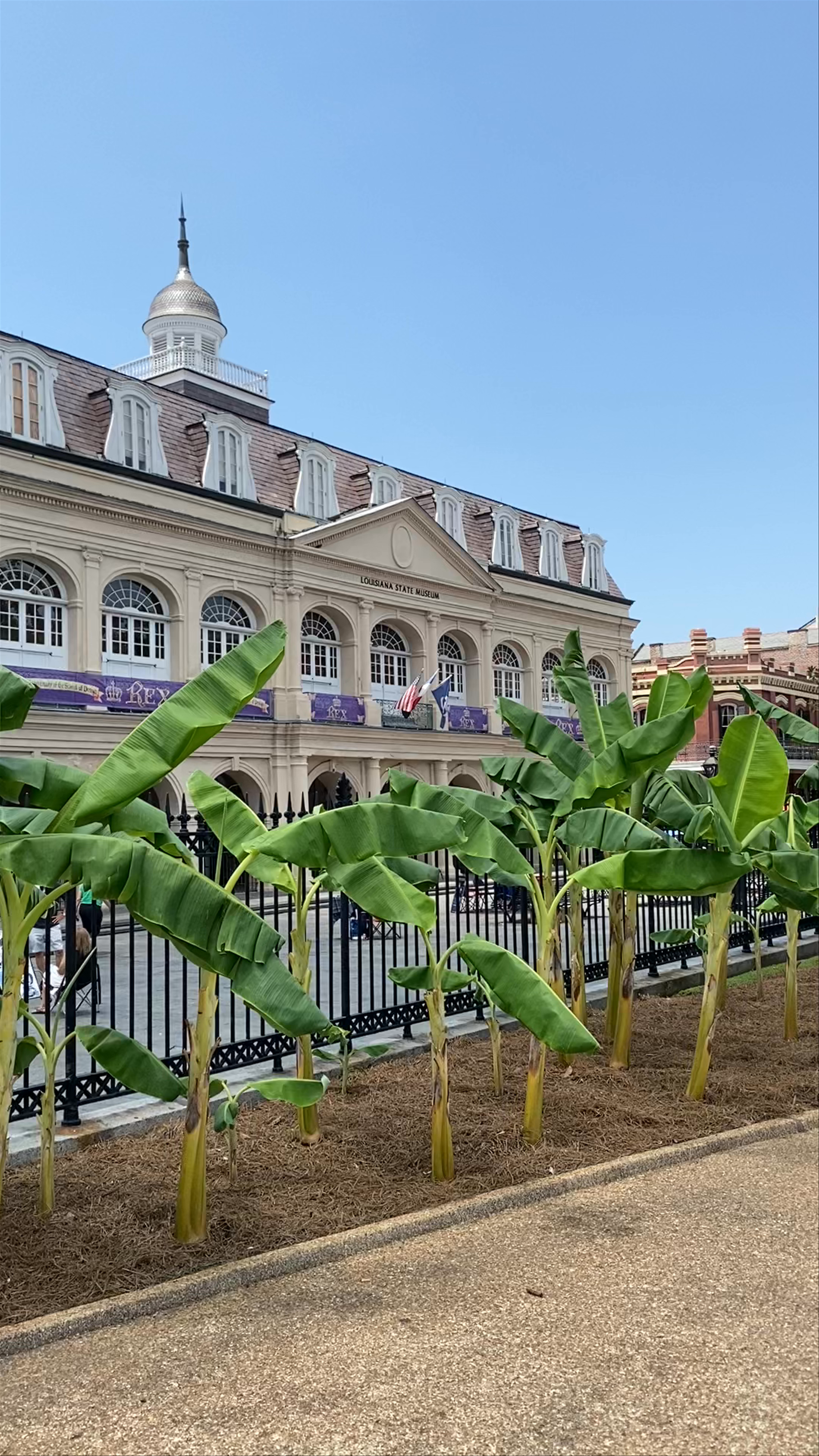 Jackson Square: Timeless Charm in New Orleans Historic Heart