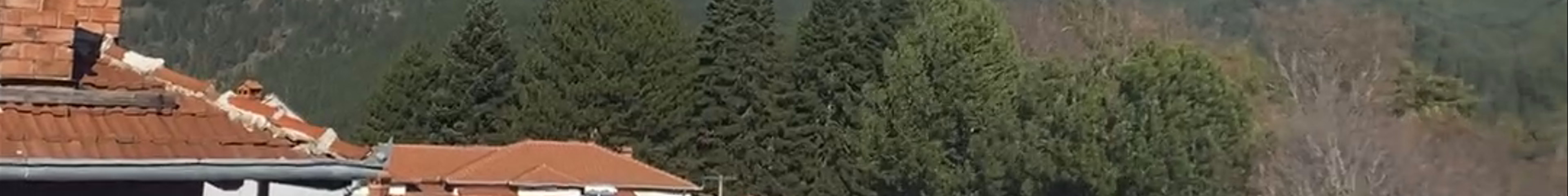Tours & experiences in Metsovo