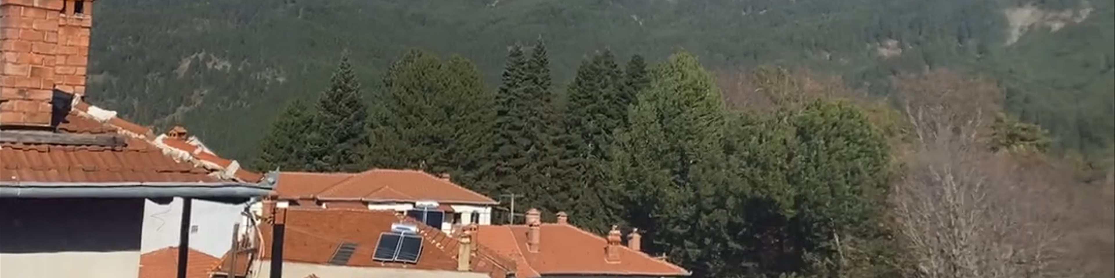 Metsovo
