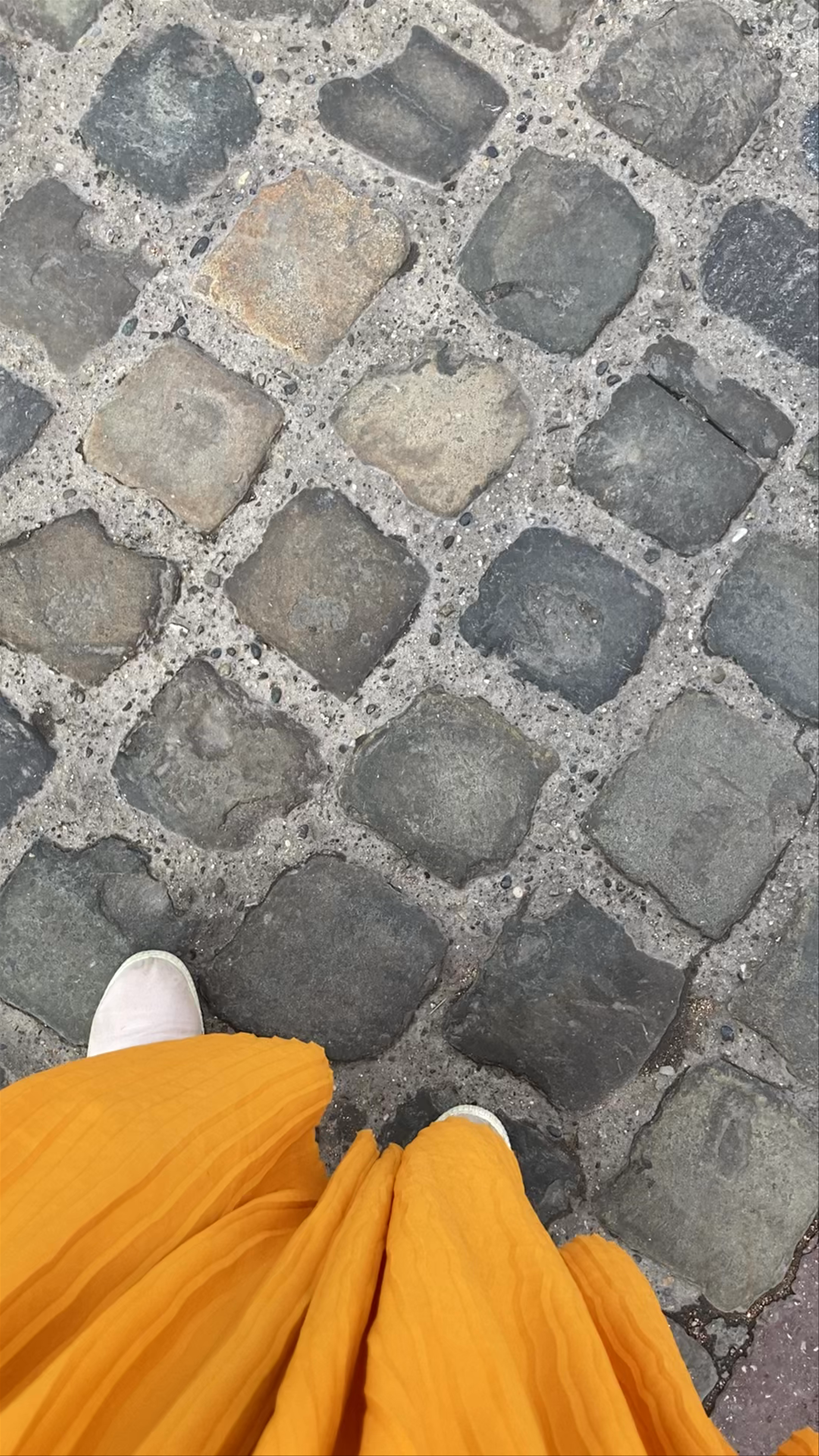Discovering Palais de l’Isle: Annecy’s Timeless Medieval Gem