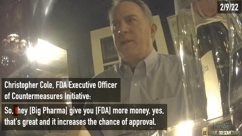 Video Thumbnail Loop