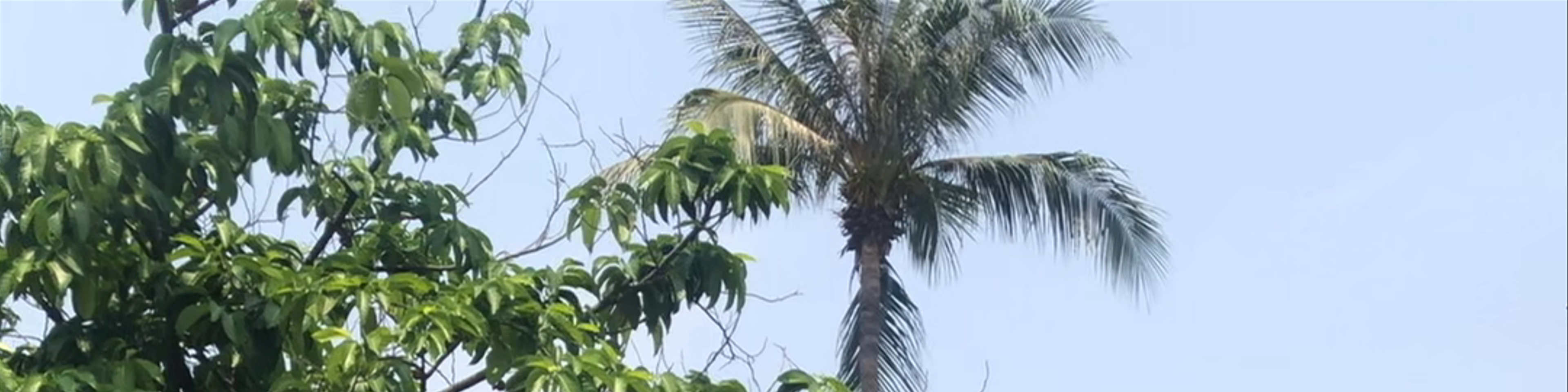 Chiang Mai